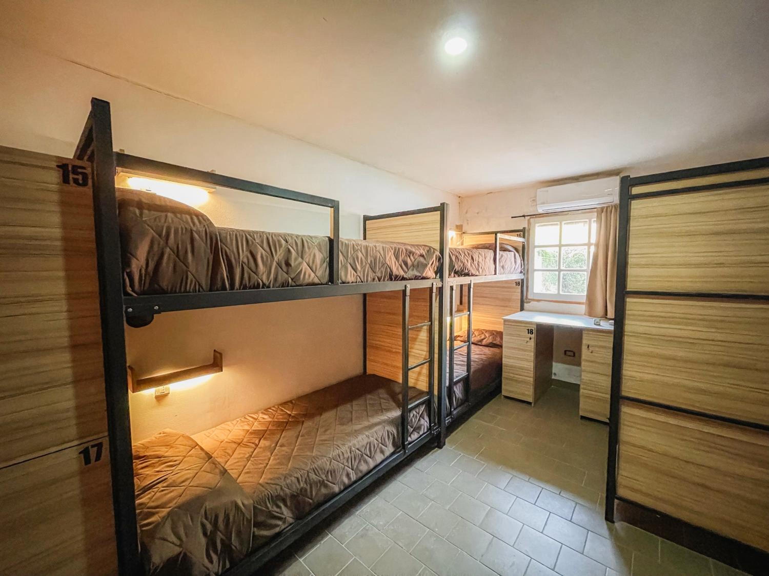 Bunk Bed in Mixed Dormitory Room photo 2