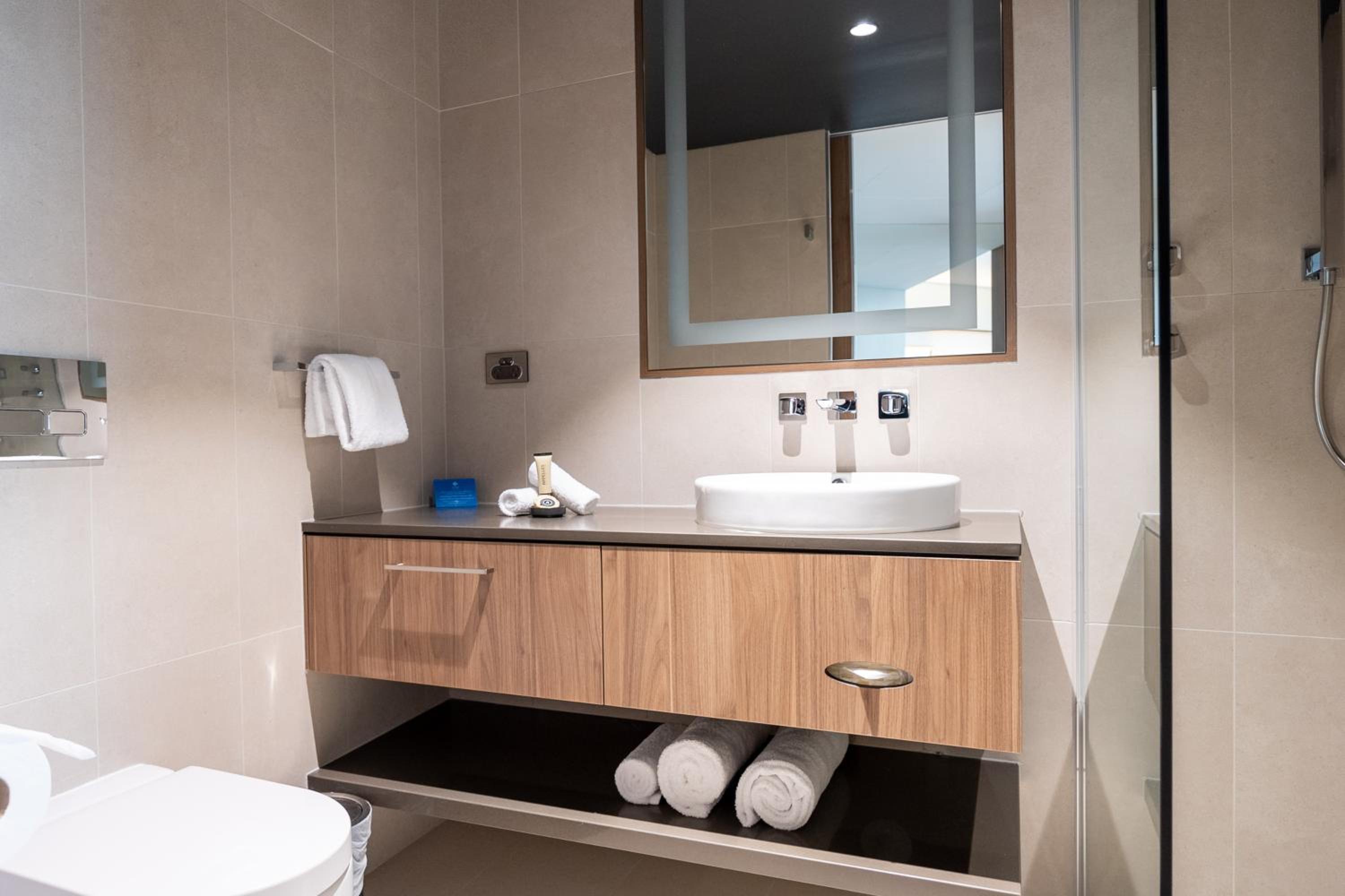 Deluxe Double or Twin Room with Mountain View photo 2