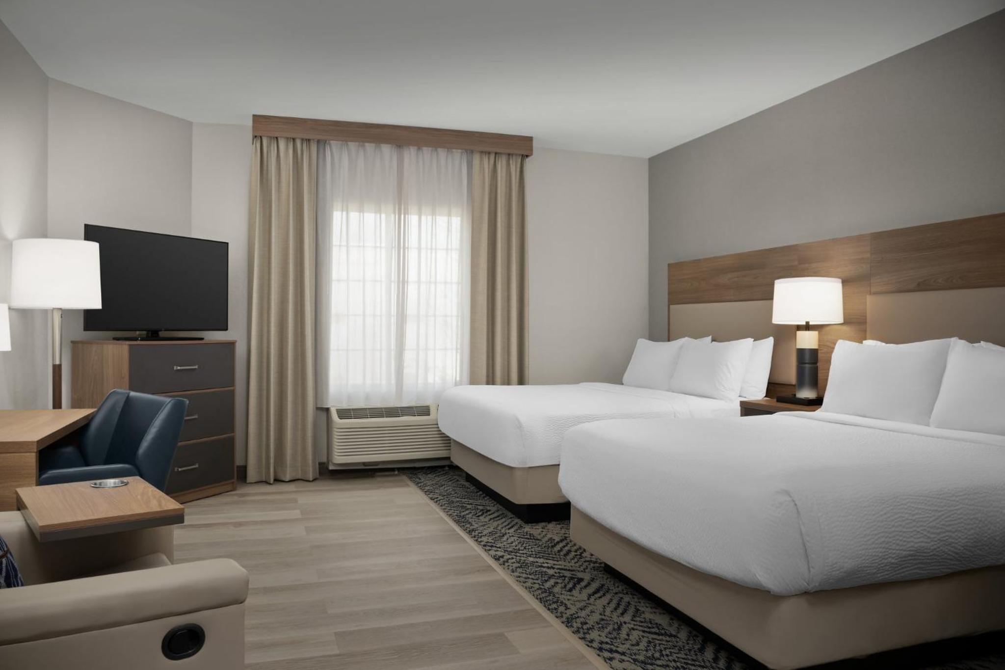 Studio Suite - Photo 2