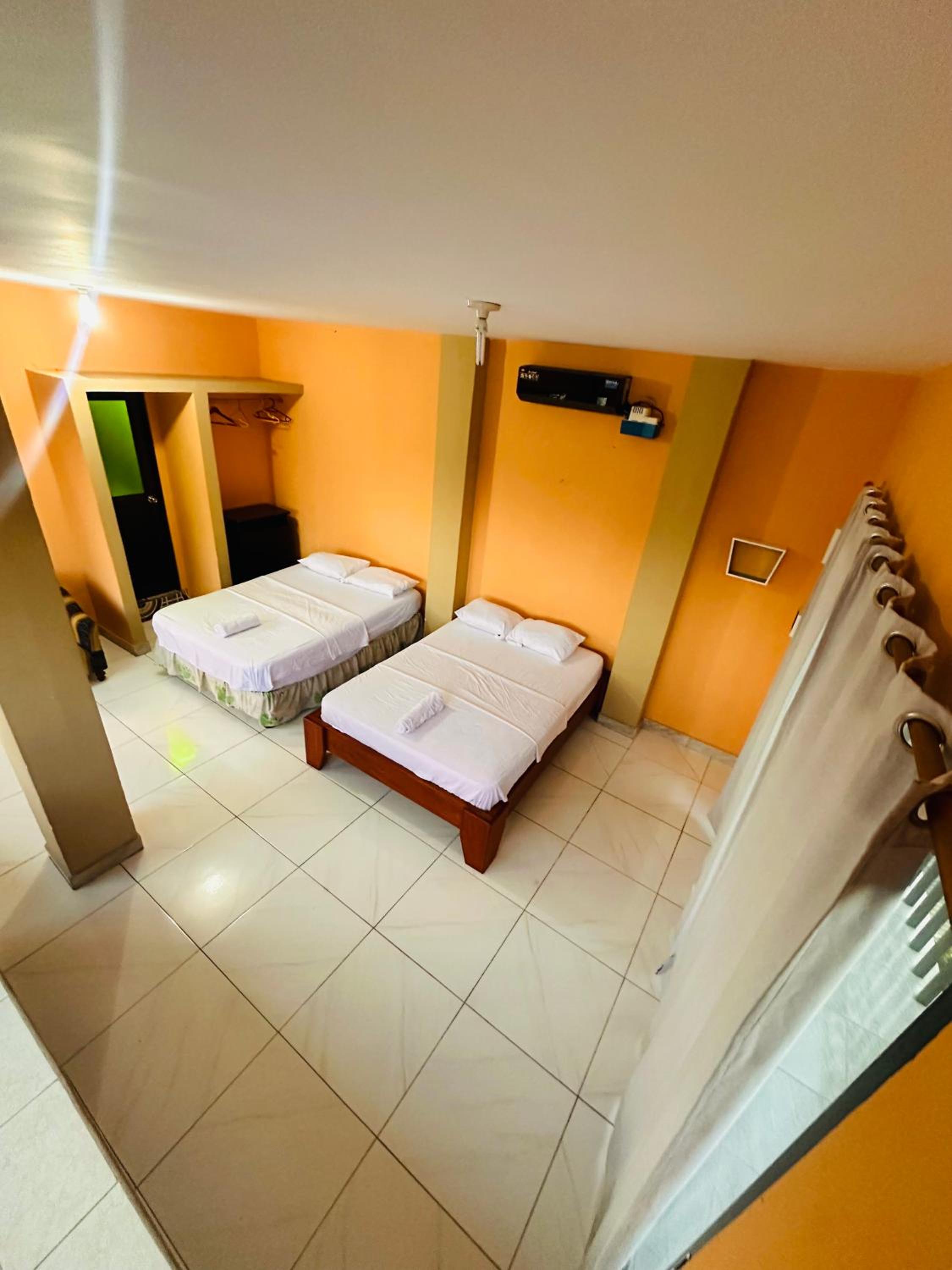 Twin Room photo 3