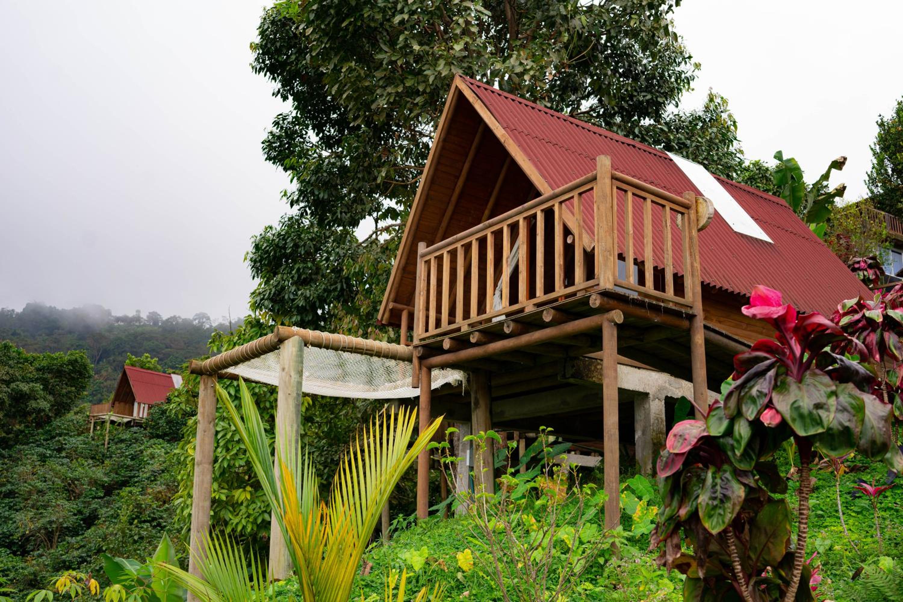 Double Room with Mountain View photo 2