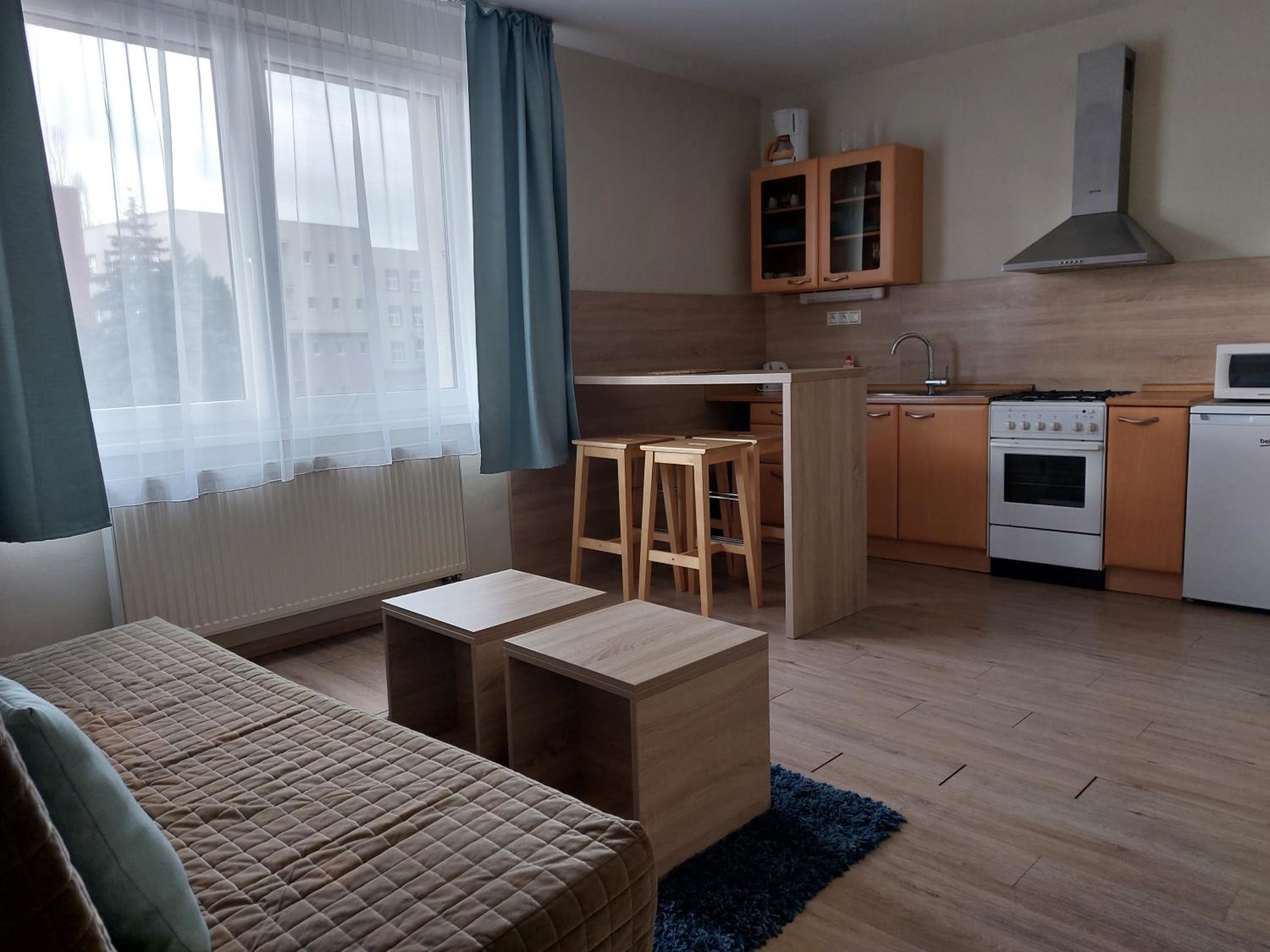 Superior One-Bedroom Apartment - Photo 16