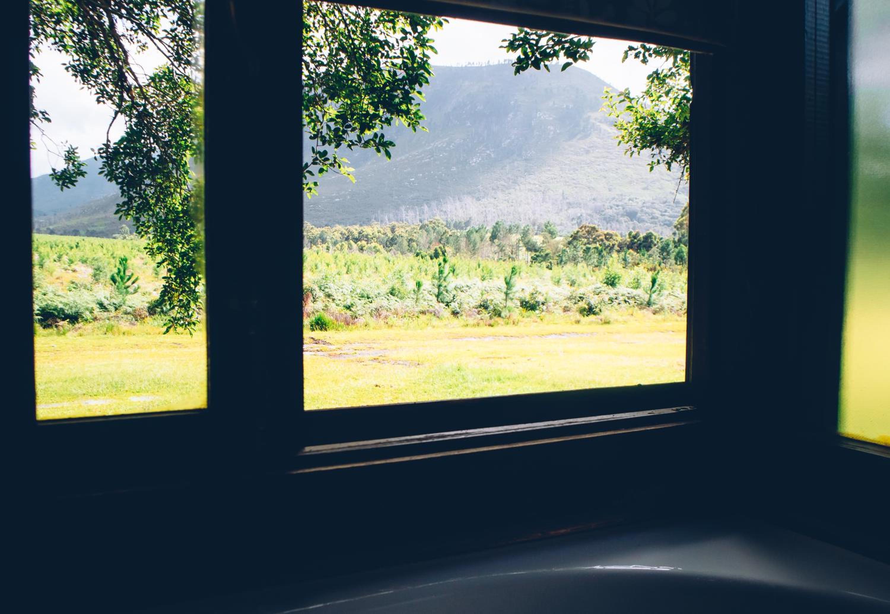 Honeymoon Suite photo 1