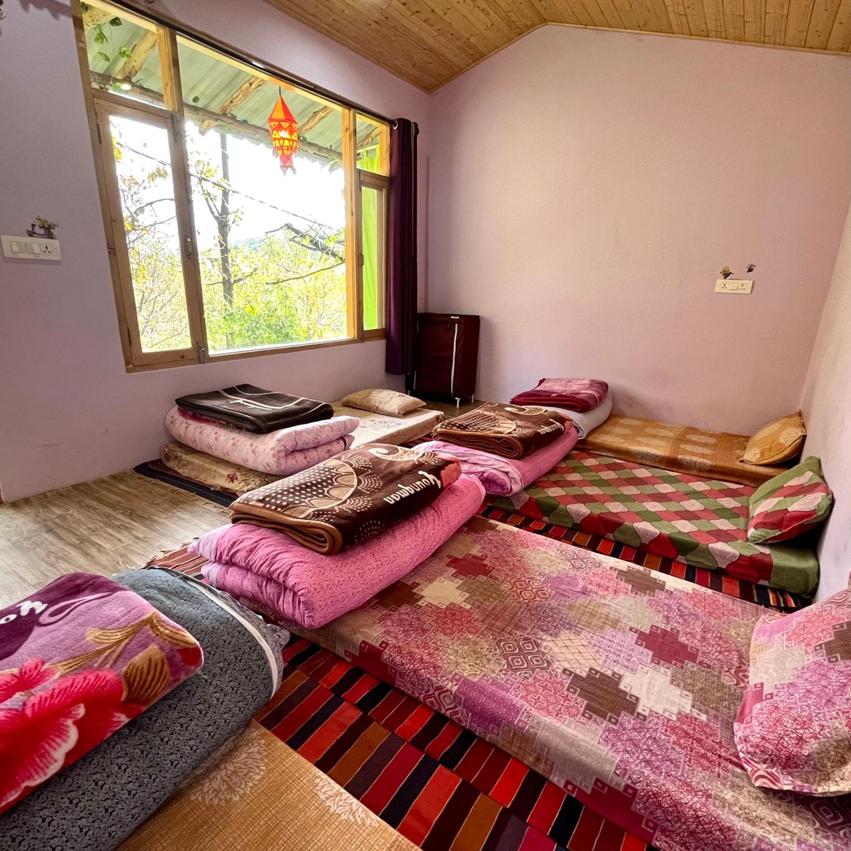 Bed In 6-Bed Mixed Dormitory Room photo 1