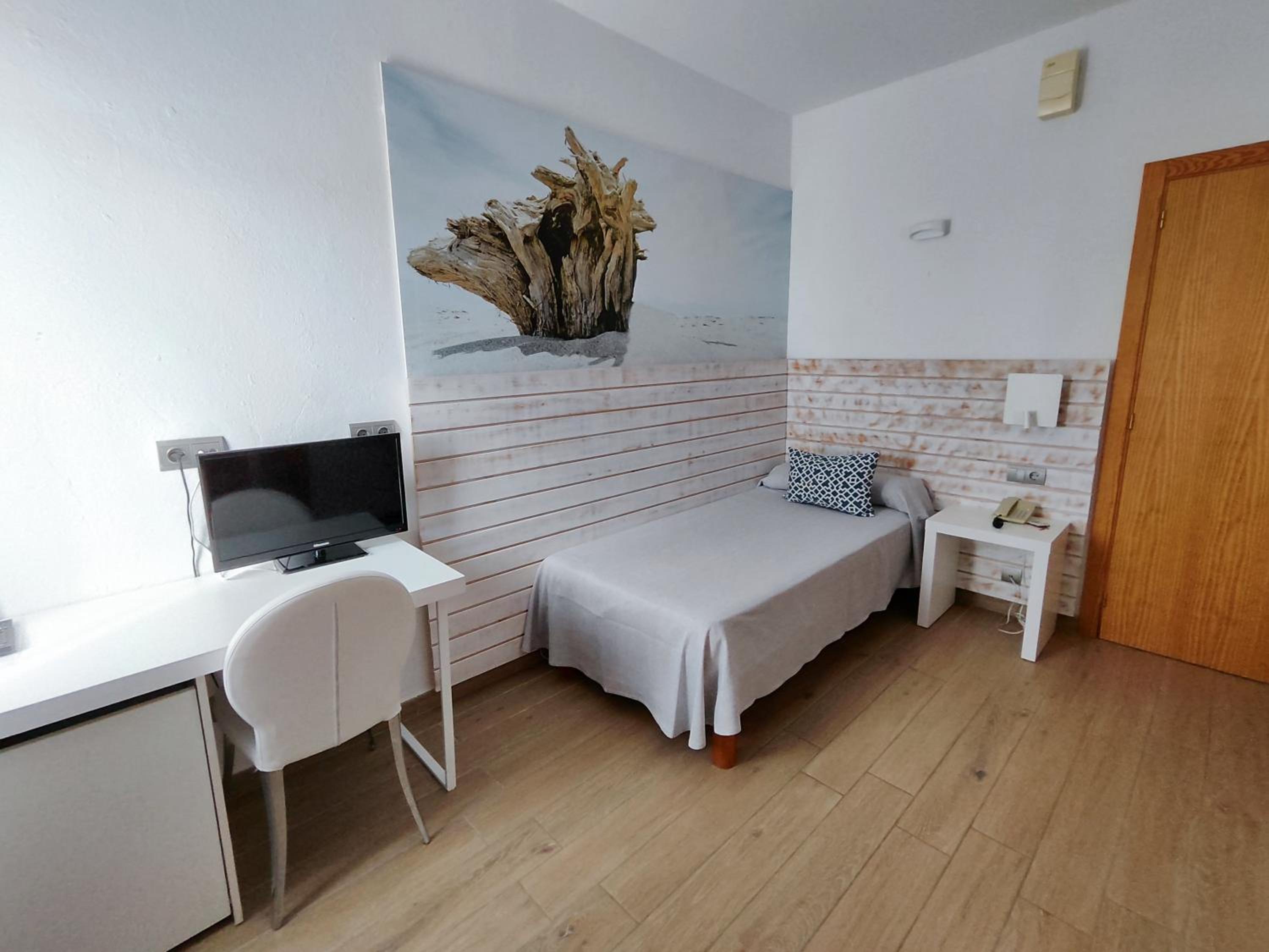 Single Room photo 2