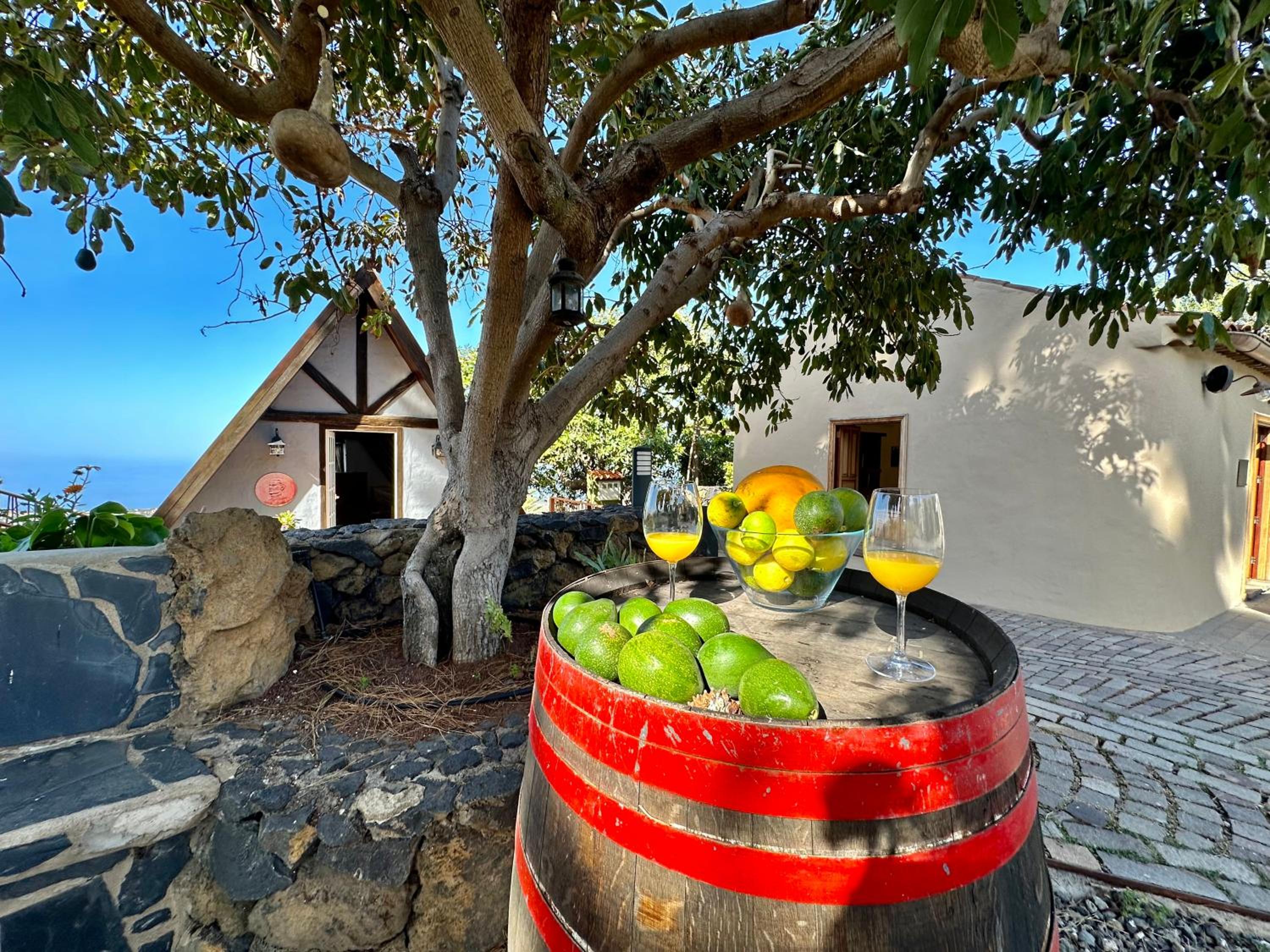 La Barraca with private pool photo 3