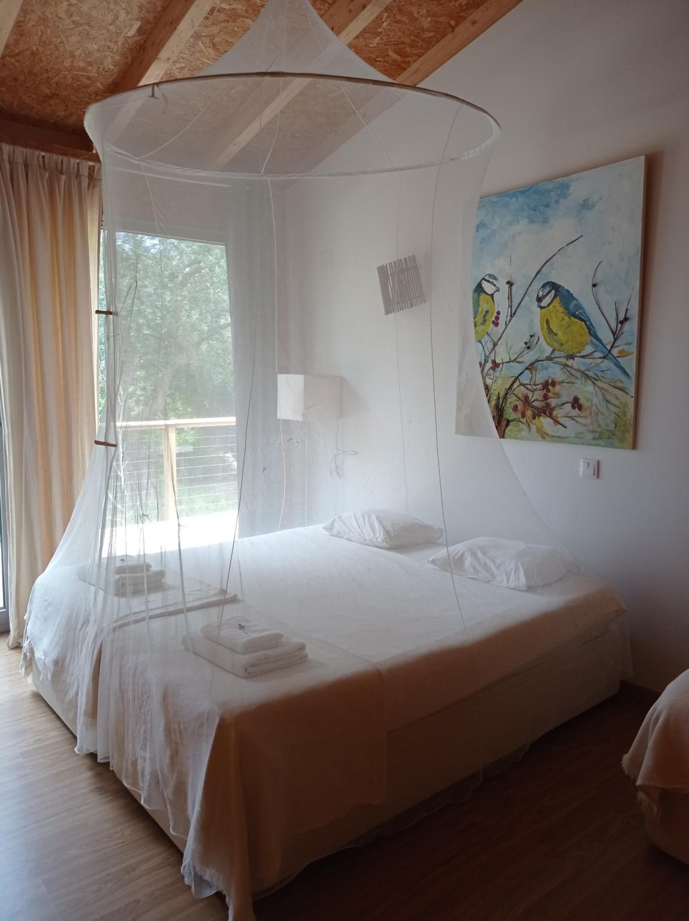 Double or Twin Room with Shared Bathroom photo 3