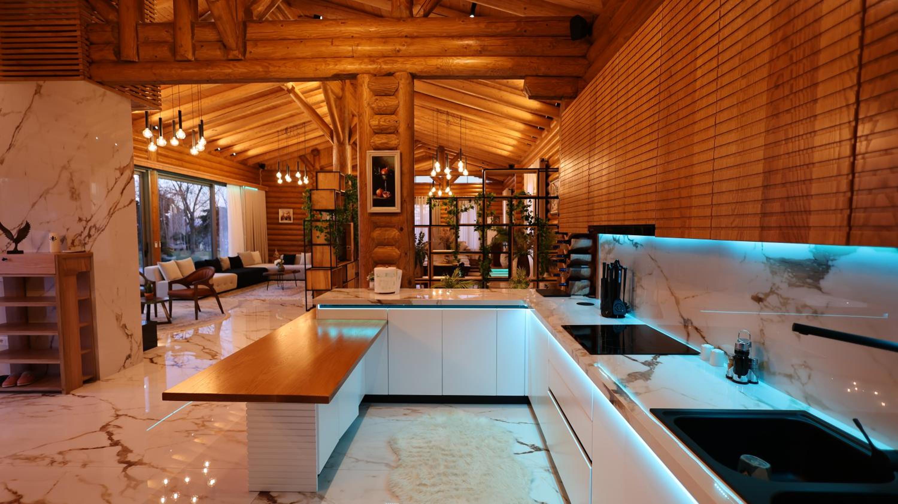 Villa photo 3