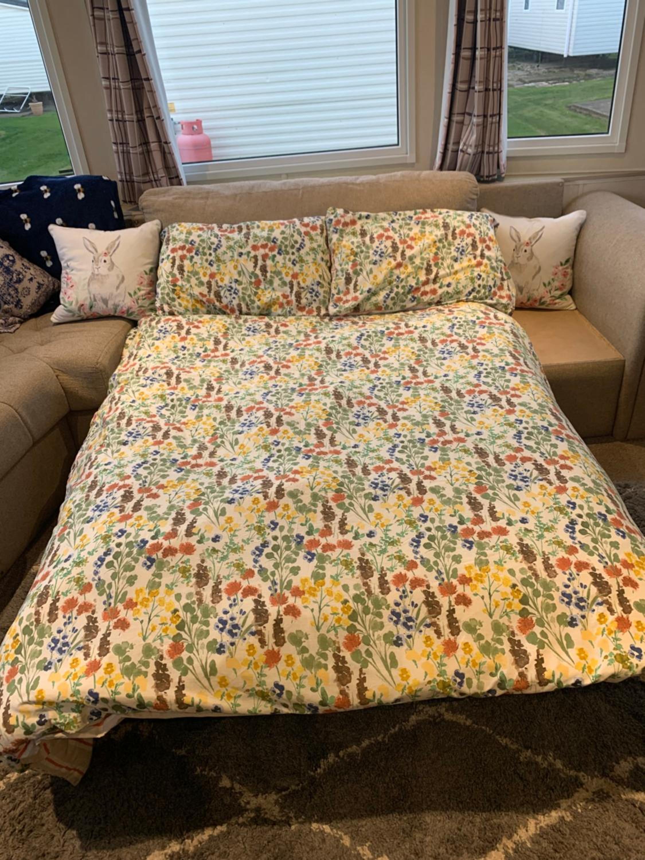 Mobile Home photo 1