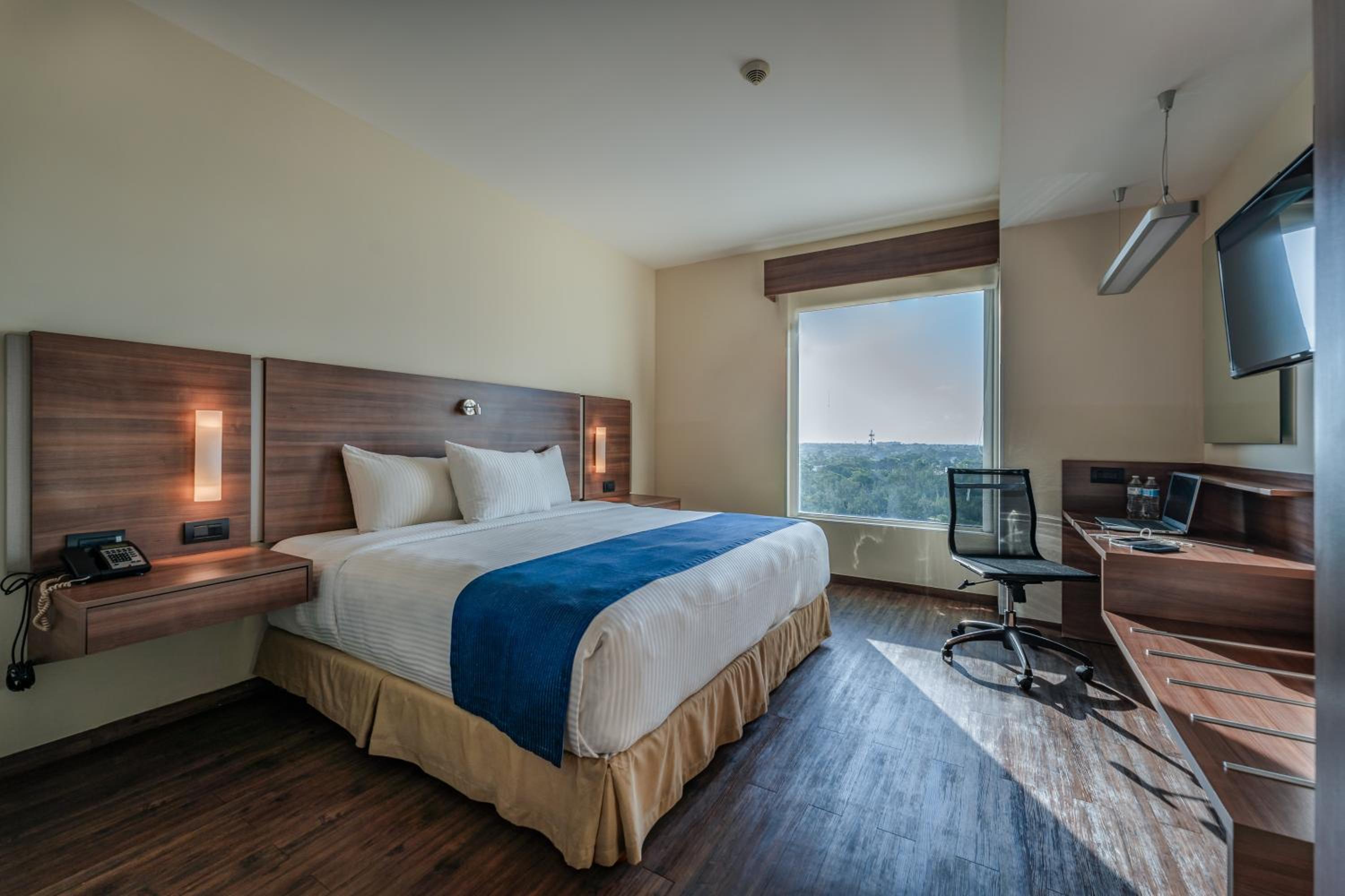 Standard King Room photo 1