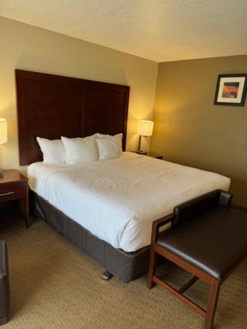 Standard King Room - Non-Smoking  - Photo 5
