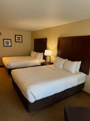 Queen Room with Two Queen Beds - Non-Smoking - Photo 3
