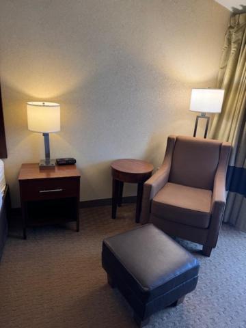 King Room  - Pet-Friendly/Non-Smoking - Photo 3