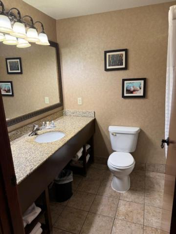 Queen Suite with Two Queen Beds and Sofa Bed - Non Smoking - Photo 4
