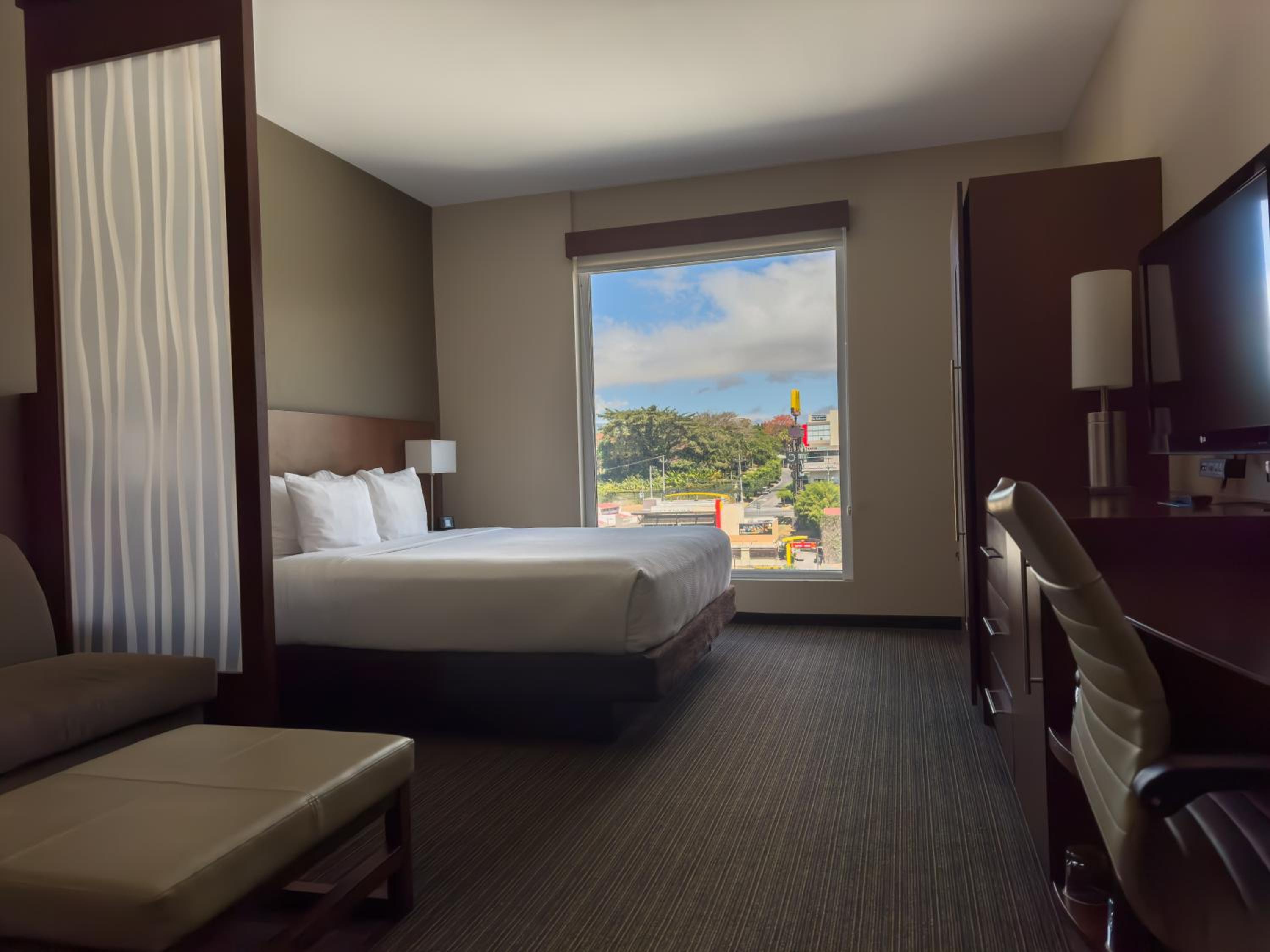 King Room - Photo 1