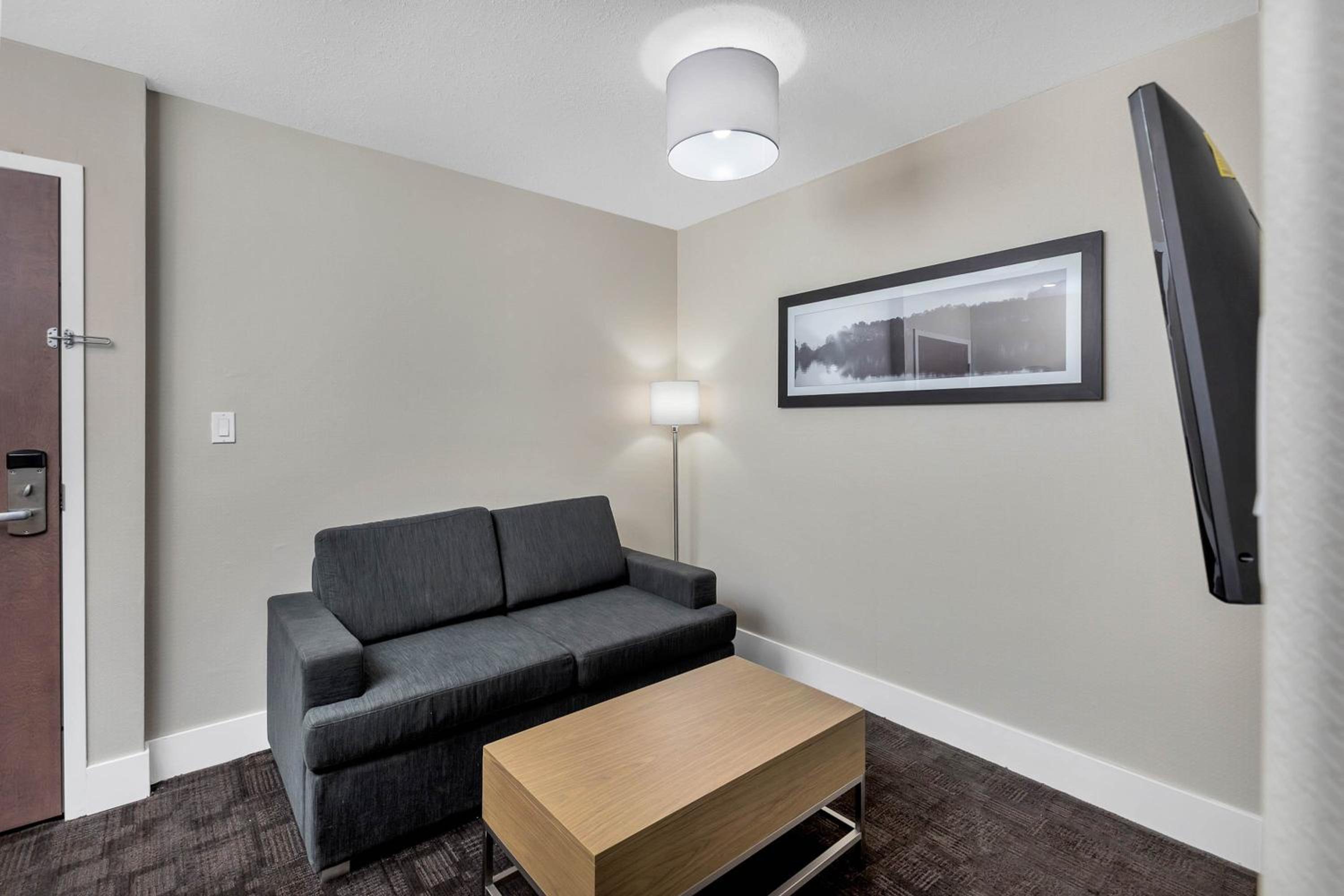 Standard Suite, 1 Queen Bed, Sofa Bed, Kitchenette - Photo 4