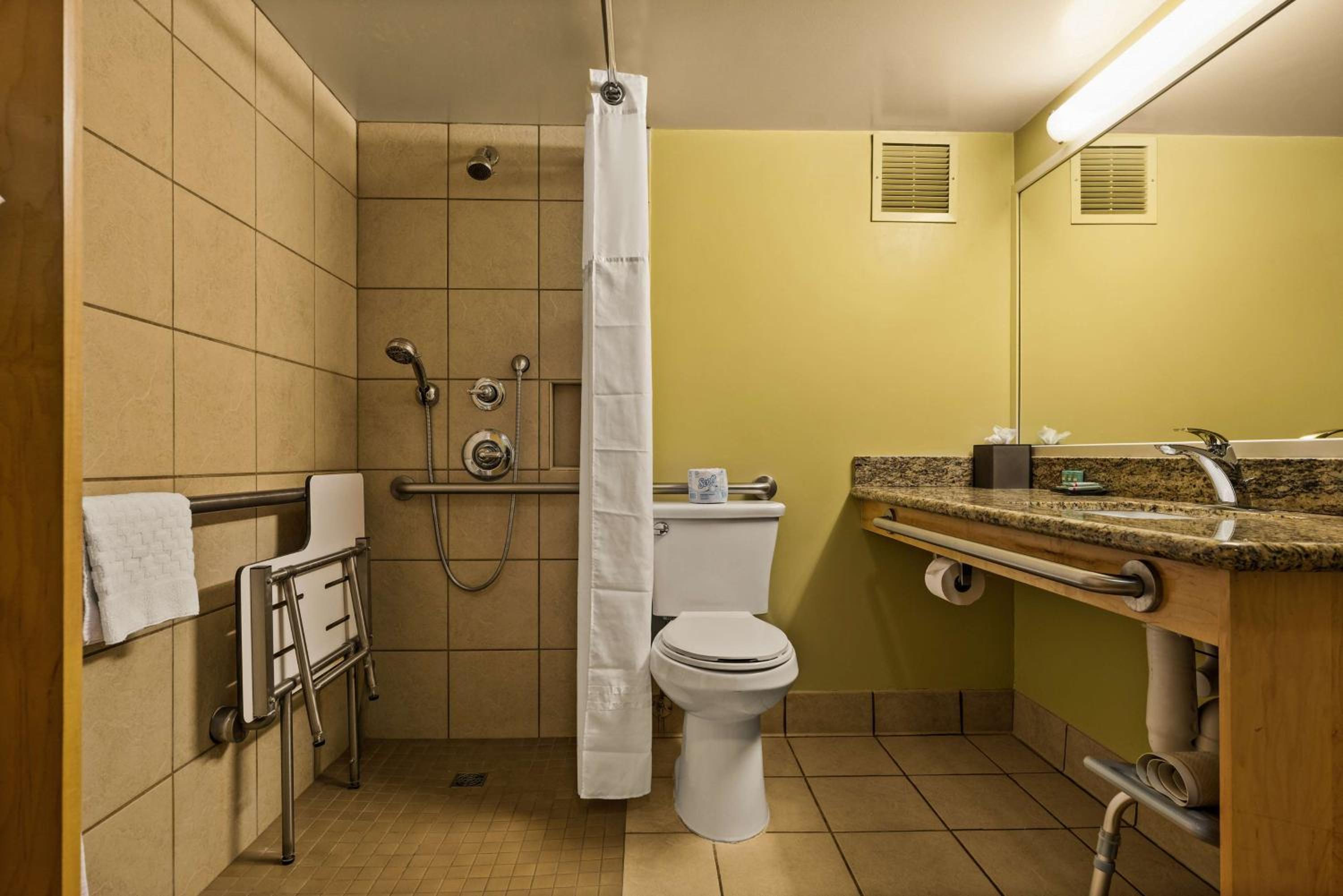 King Room with Roll-in Shower - Disability Access/Non-Smoking - Photo 2