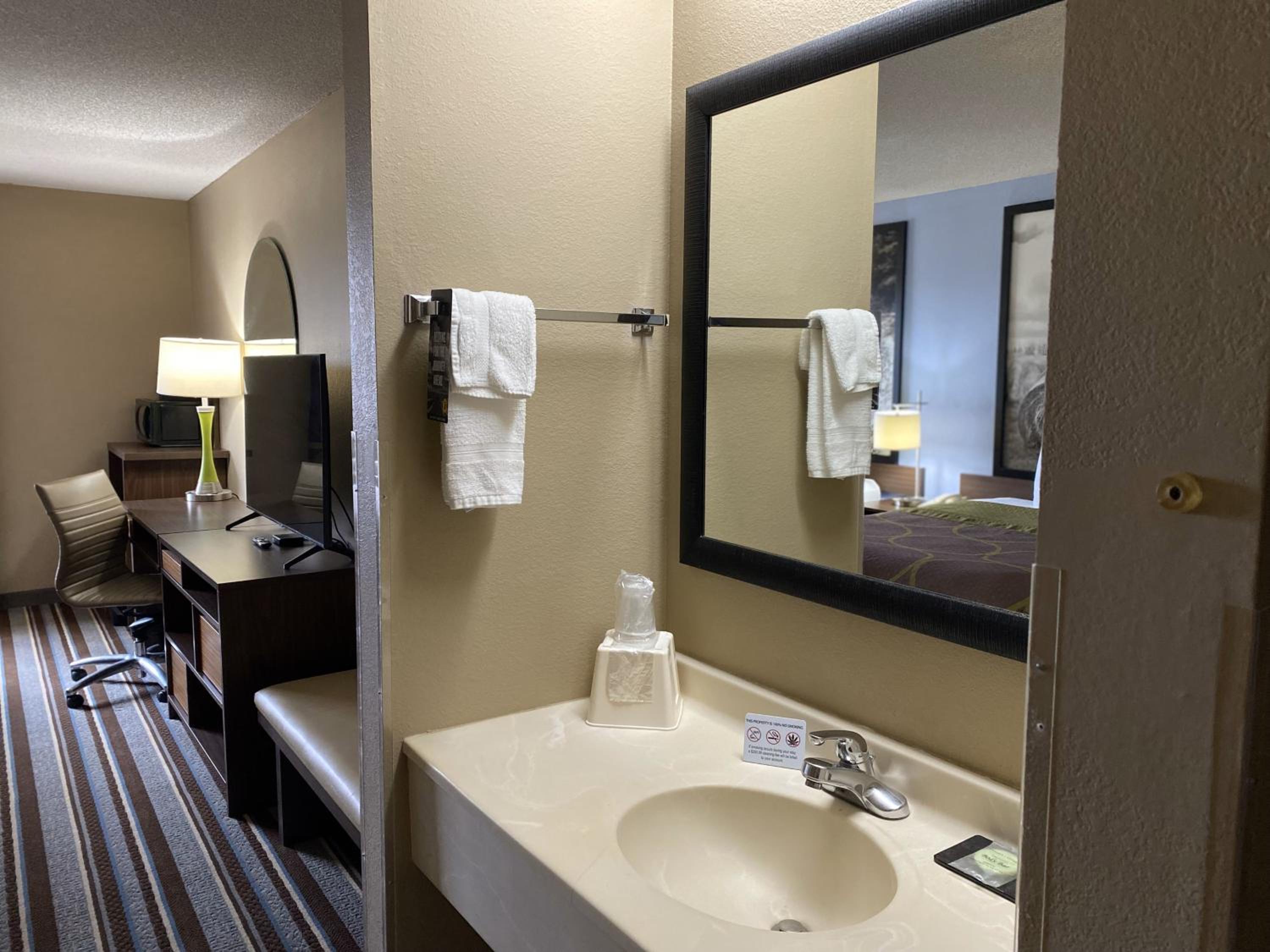 Deluxe King Studio Suite - Non-Smoking - Photo 9