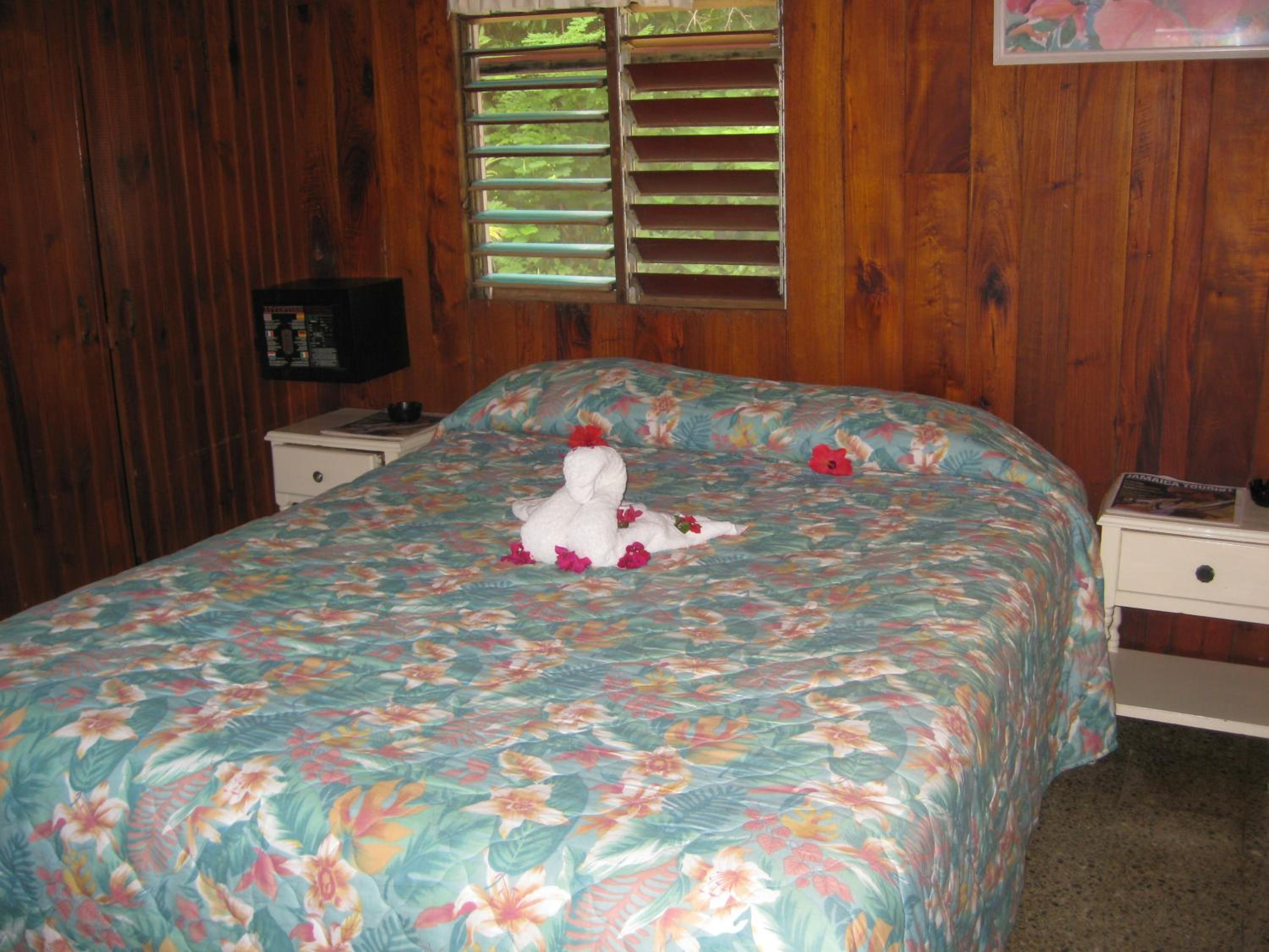 Standard Queen Room - No AC, No TV