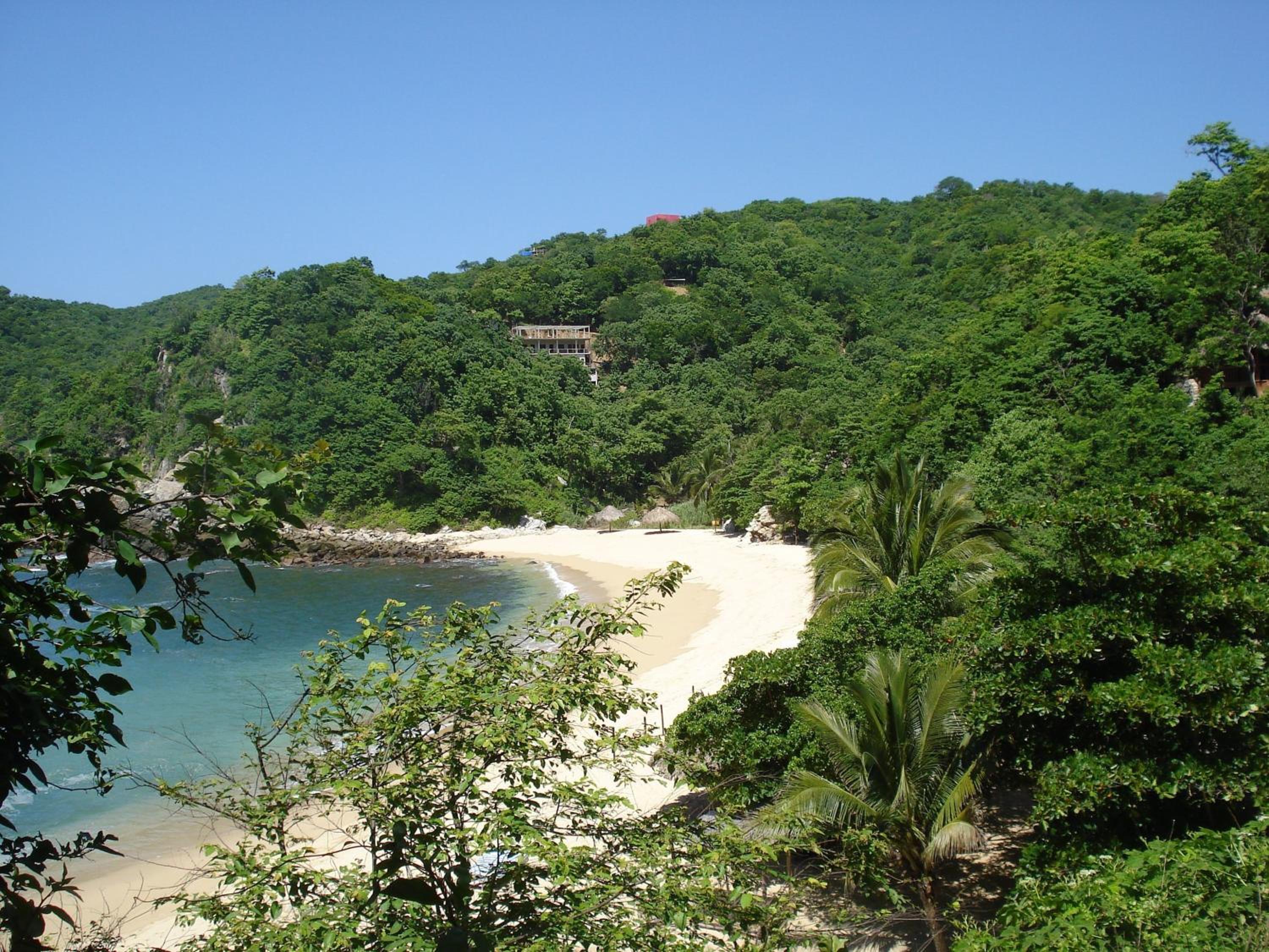 Bungalow with Sea View photo 2