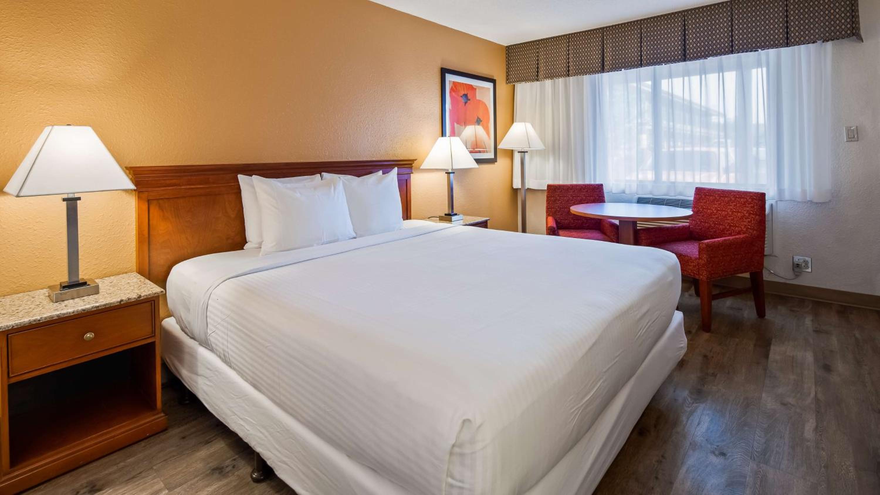 King Room - Pet-Friendly/Non-Smoking photo 3