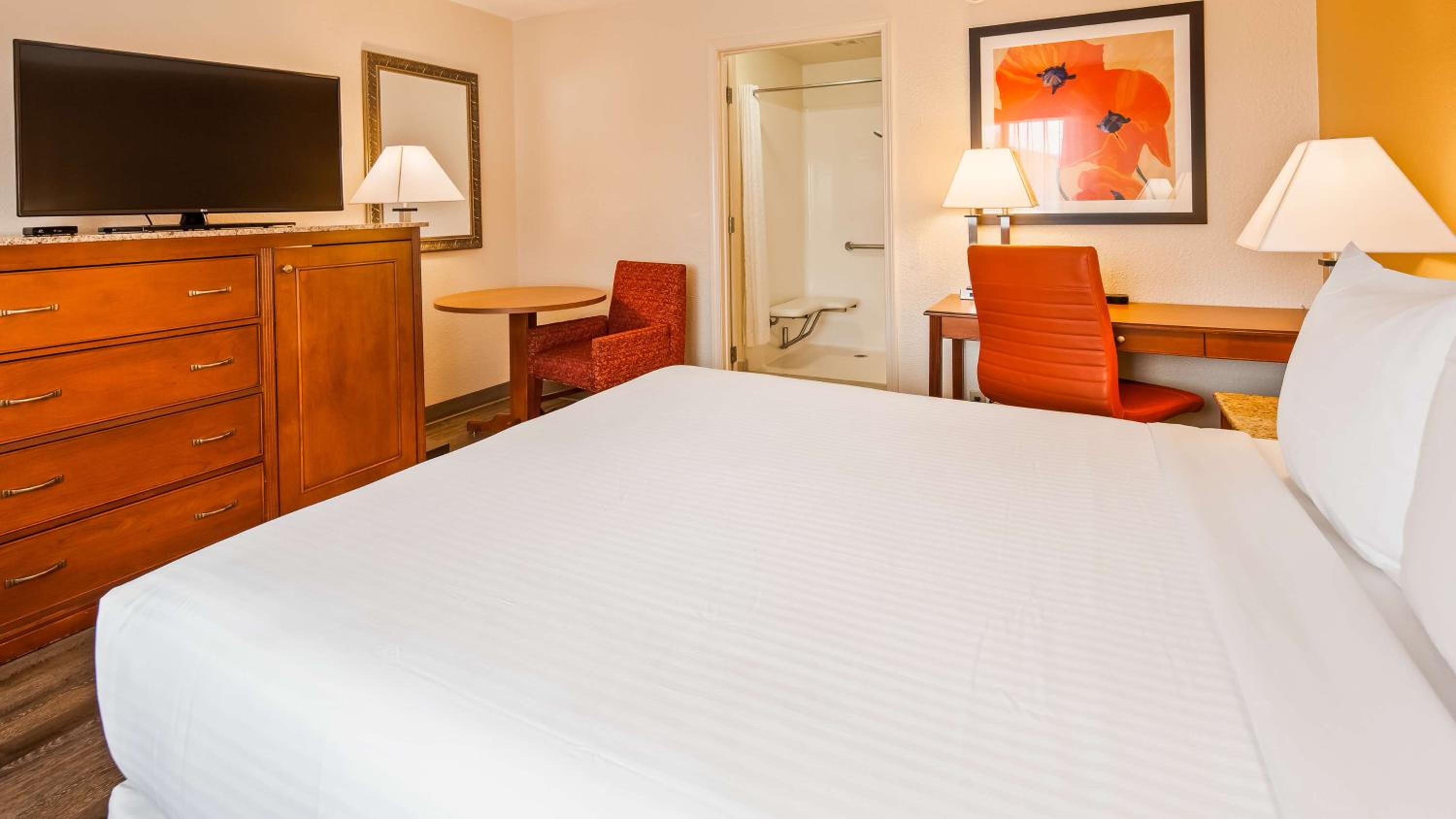 King Room - Pet-Friendly/Non-Smoking photo 2