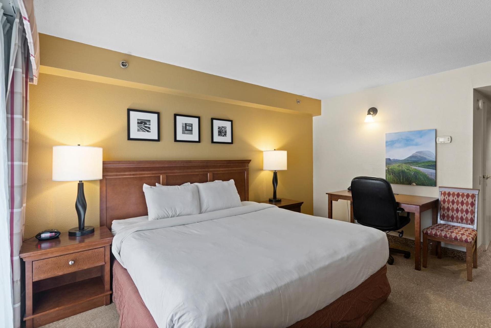 Accessible King Room - Photo 1