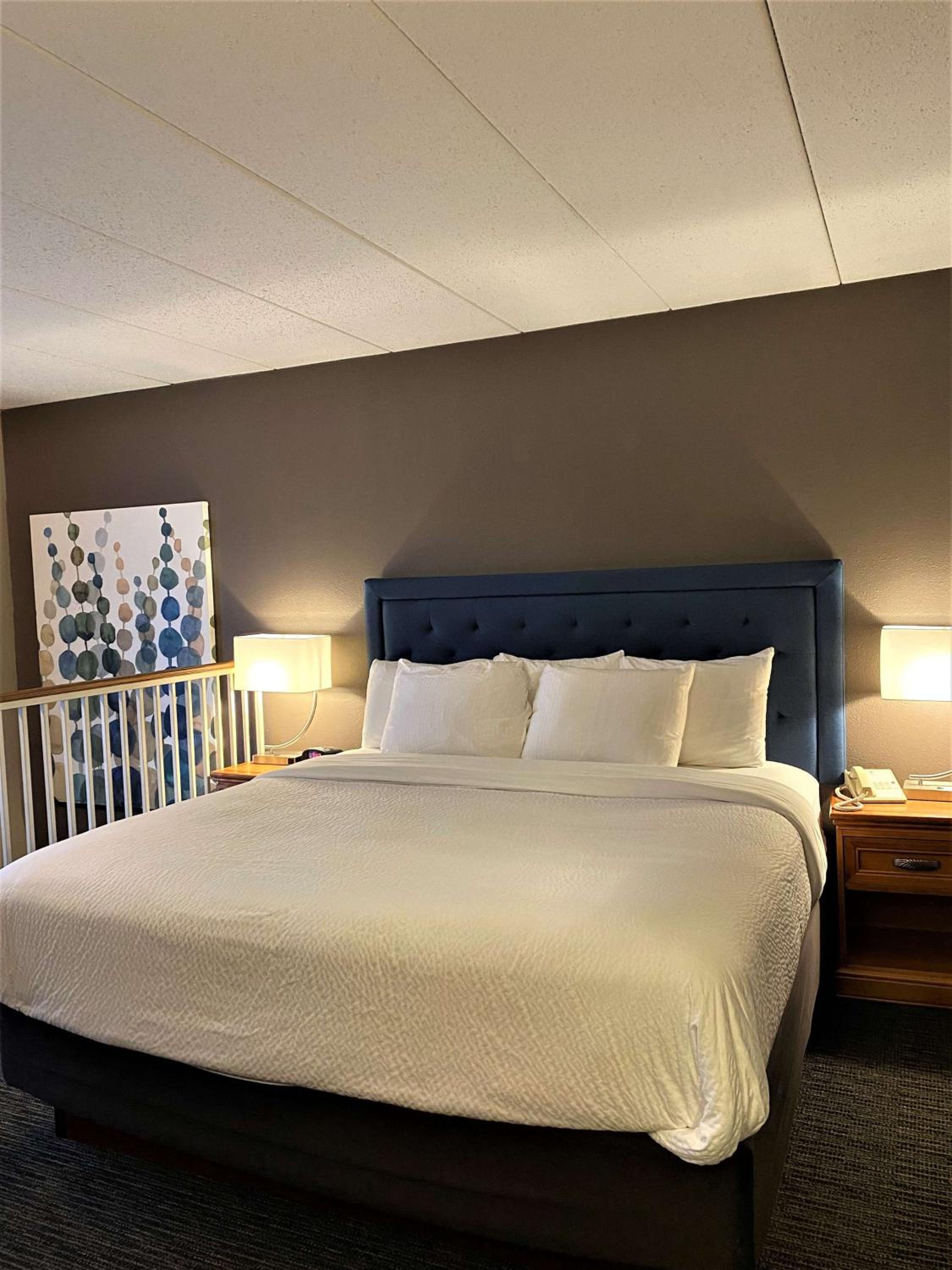 Suite - Photo 1