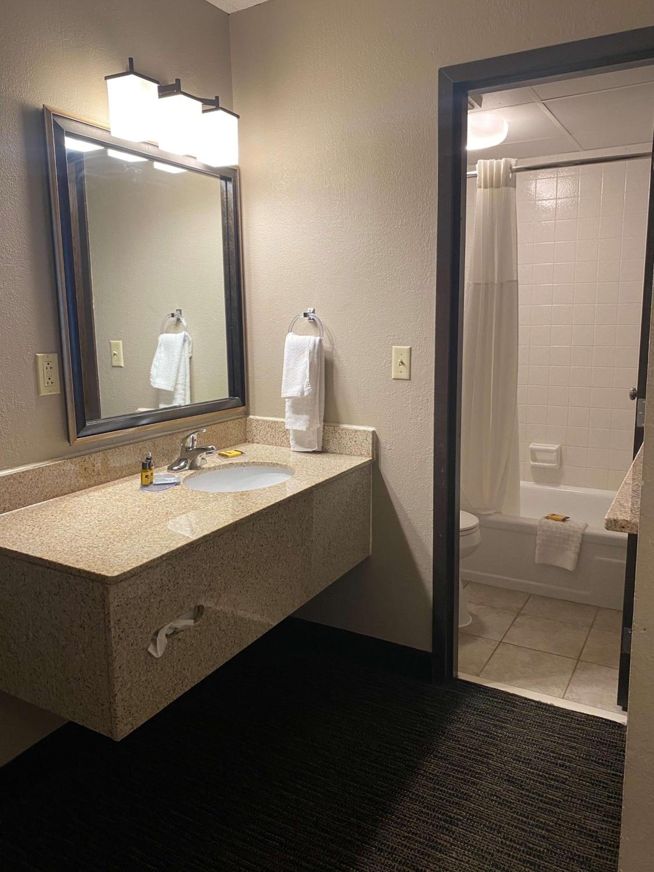 Suite - Photo 2