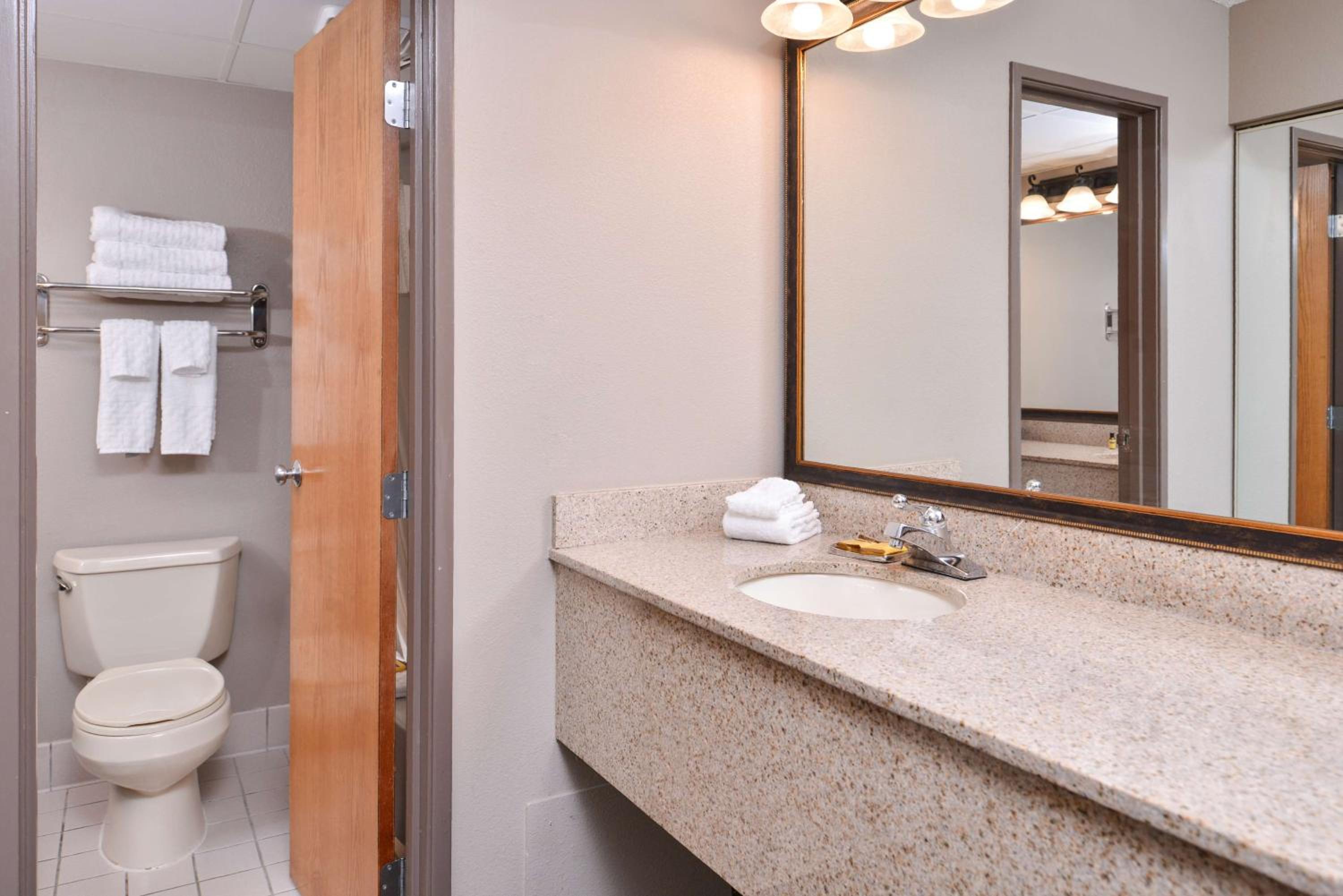 Deluxe King Suite - Non-Smoking - Photo 5