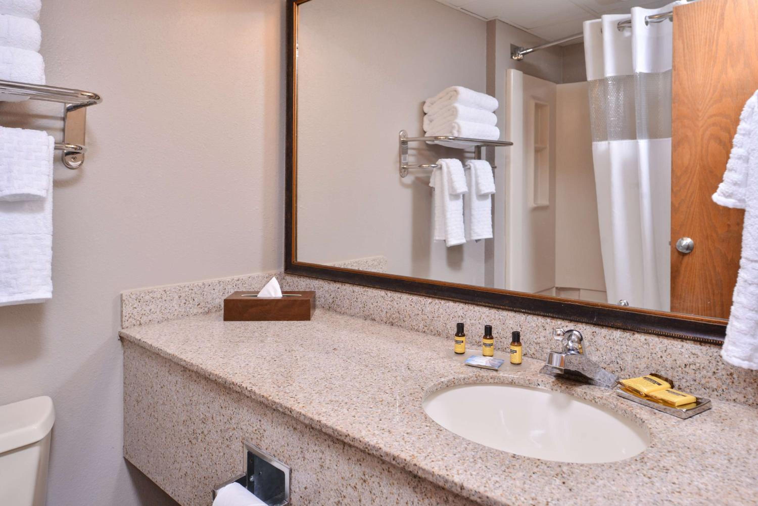 King Room - Non-Smoking - Photo 4