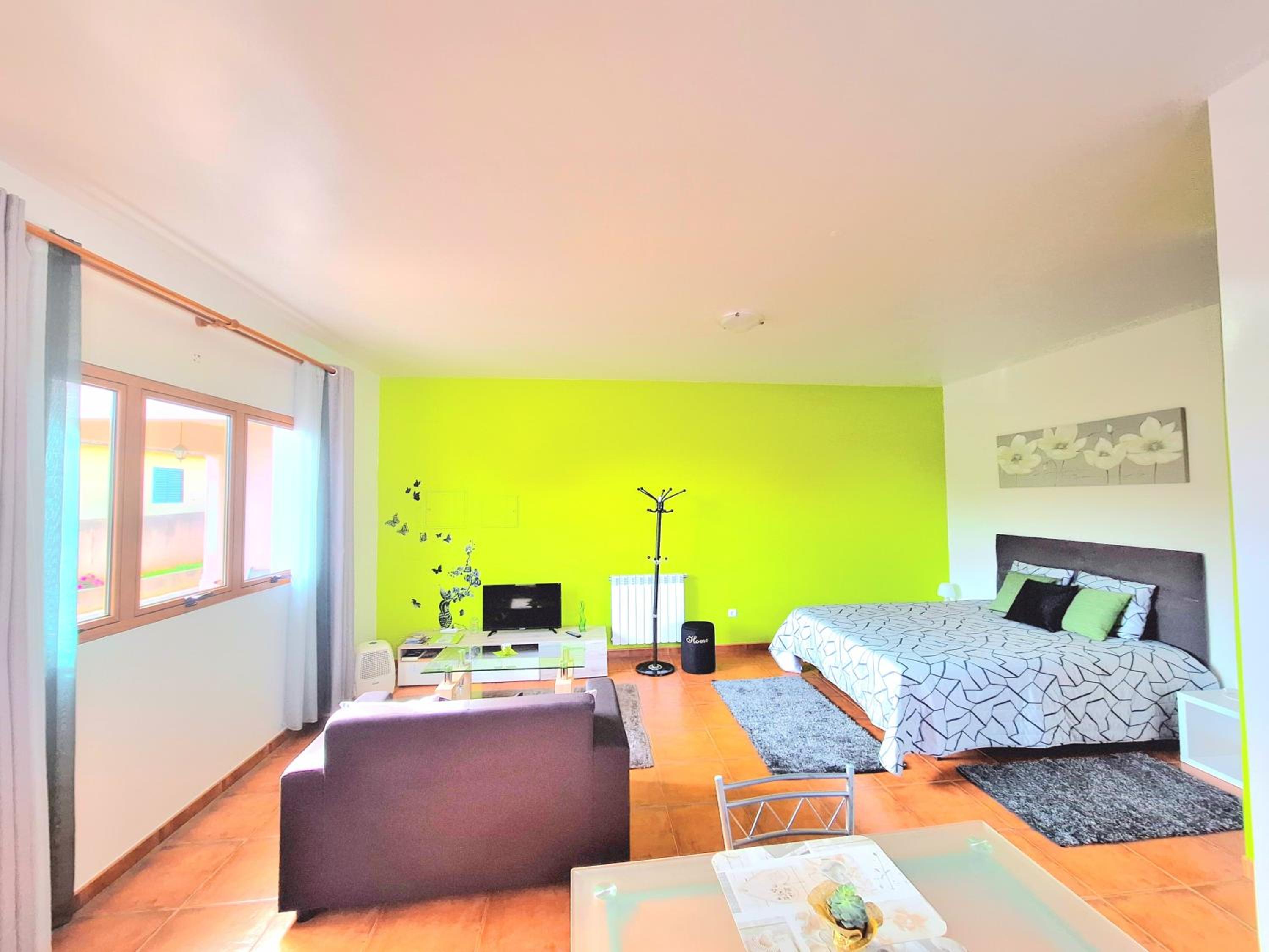 Studio Apartment - Photo 2