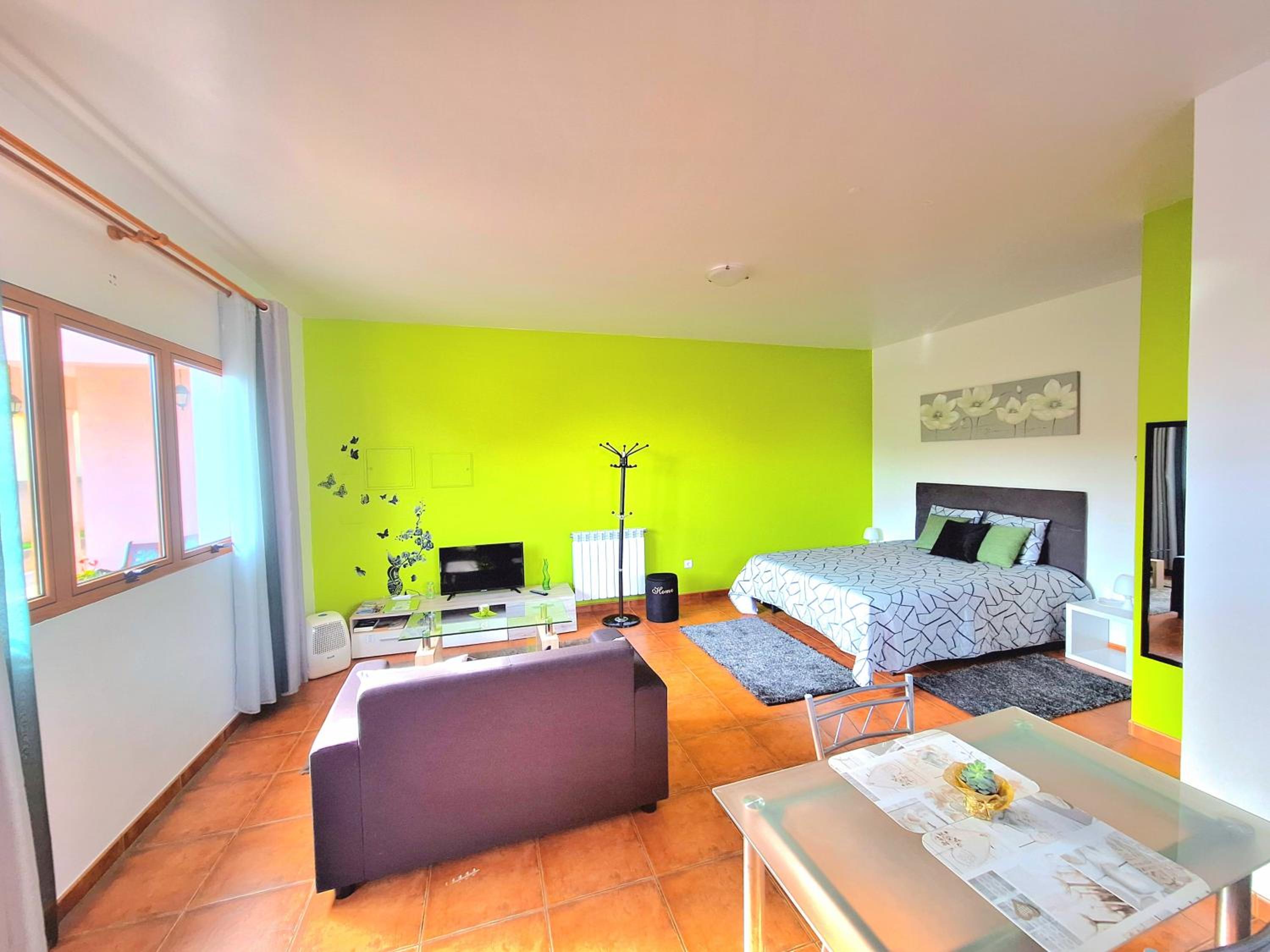 Studio Apartment - Photo 13