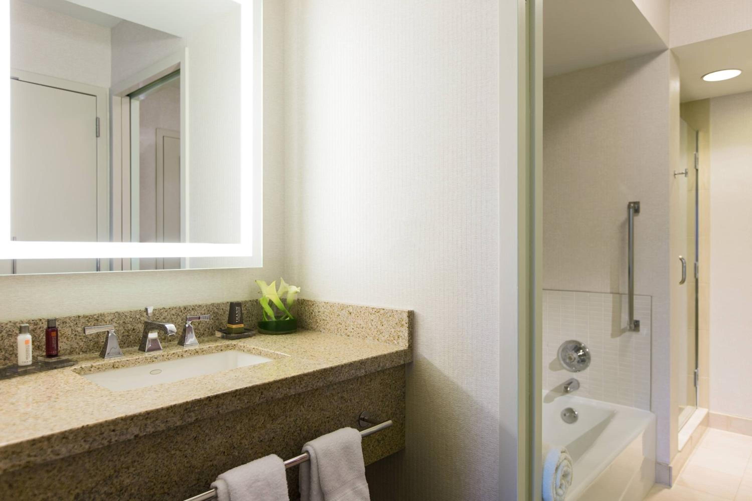 One-Bedroom Suite - Photo 2