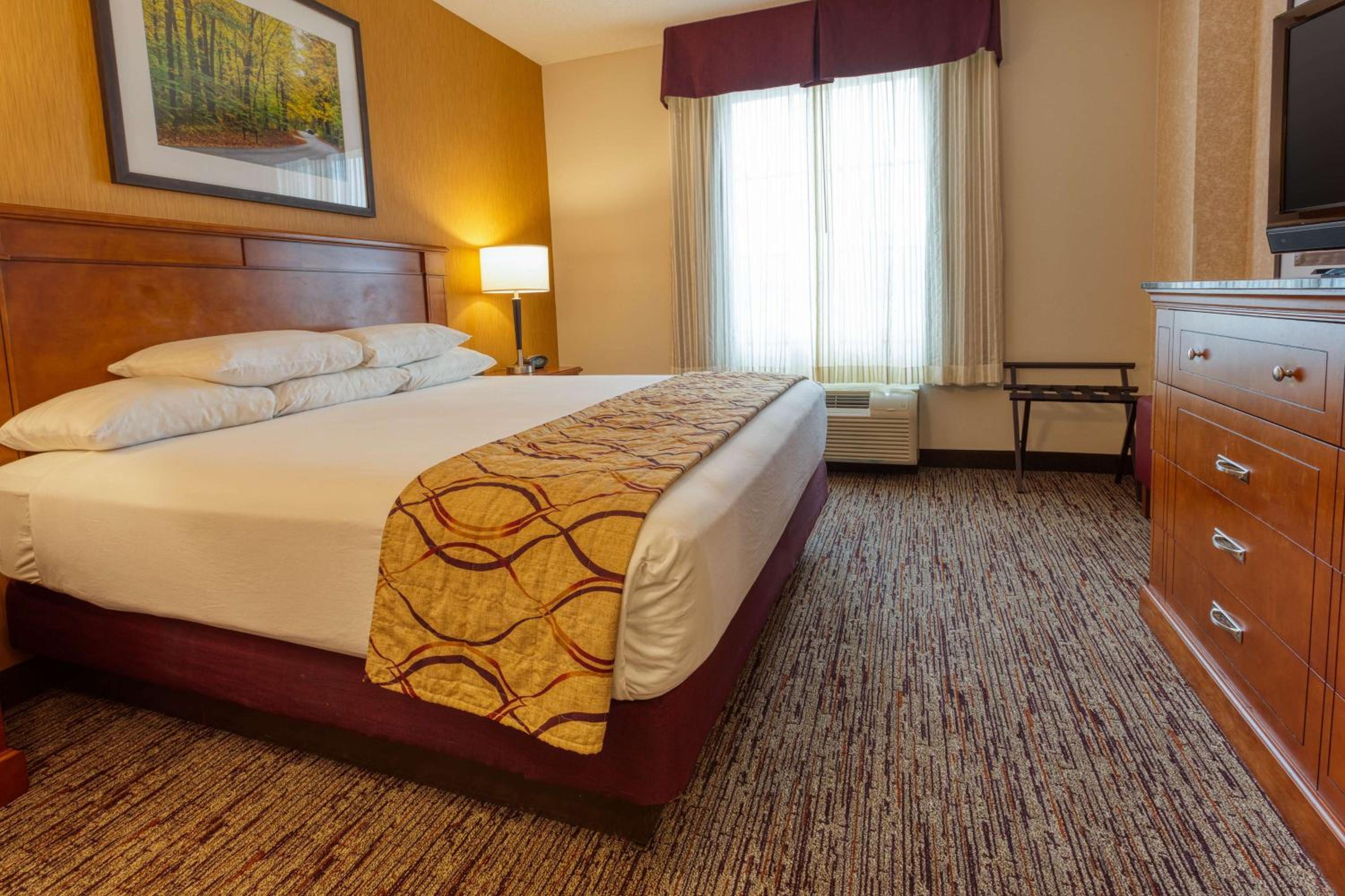 King Suite with Sofa Bed