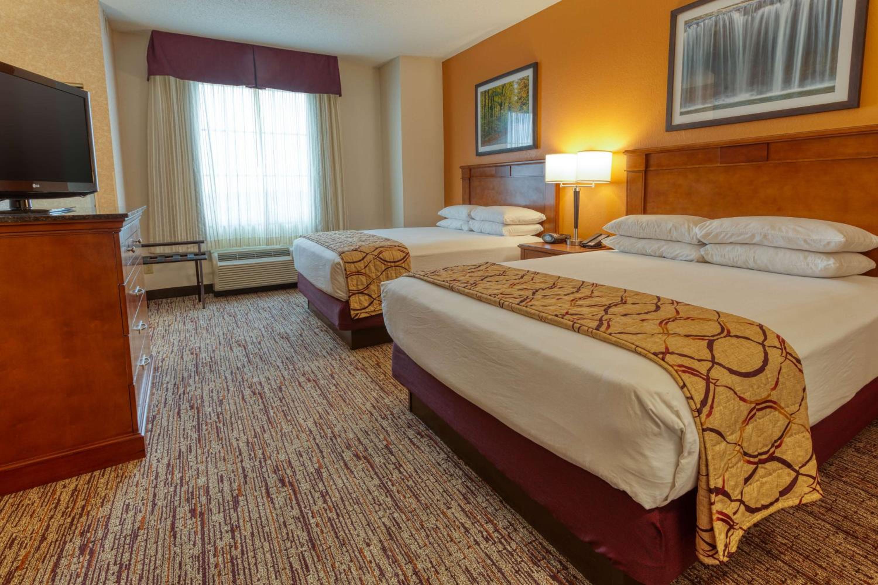 Spacious Queen Suite - High Floor photo 3