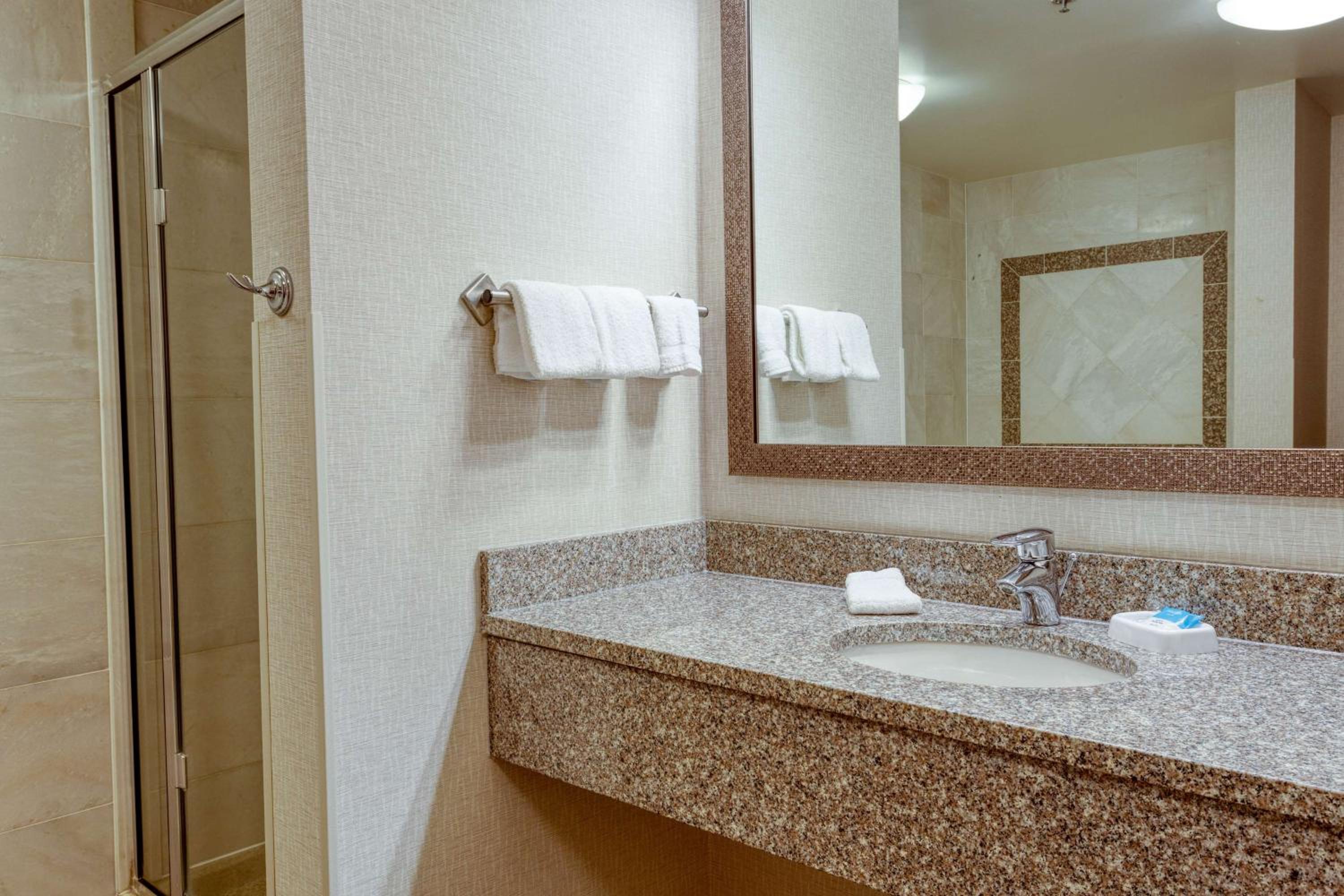 King Room with Roll-In Shower - Disability Access photo 3