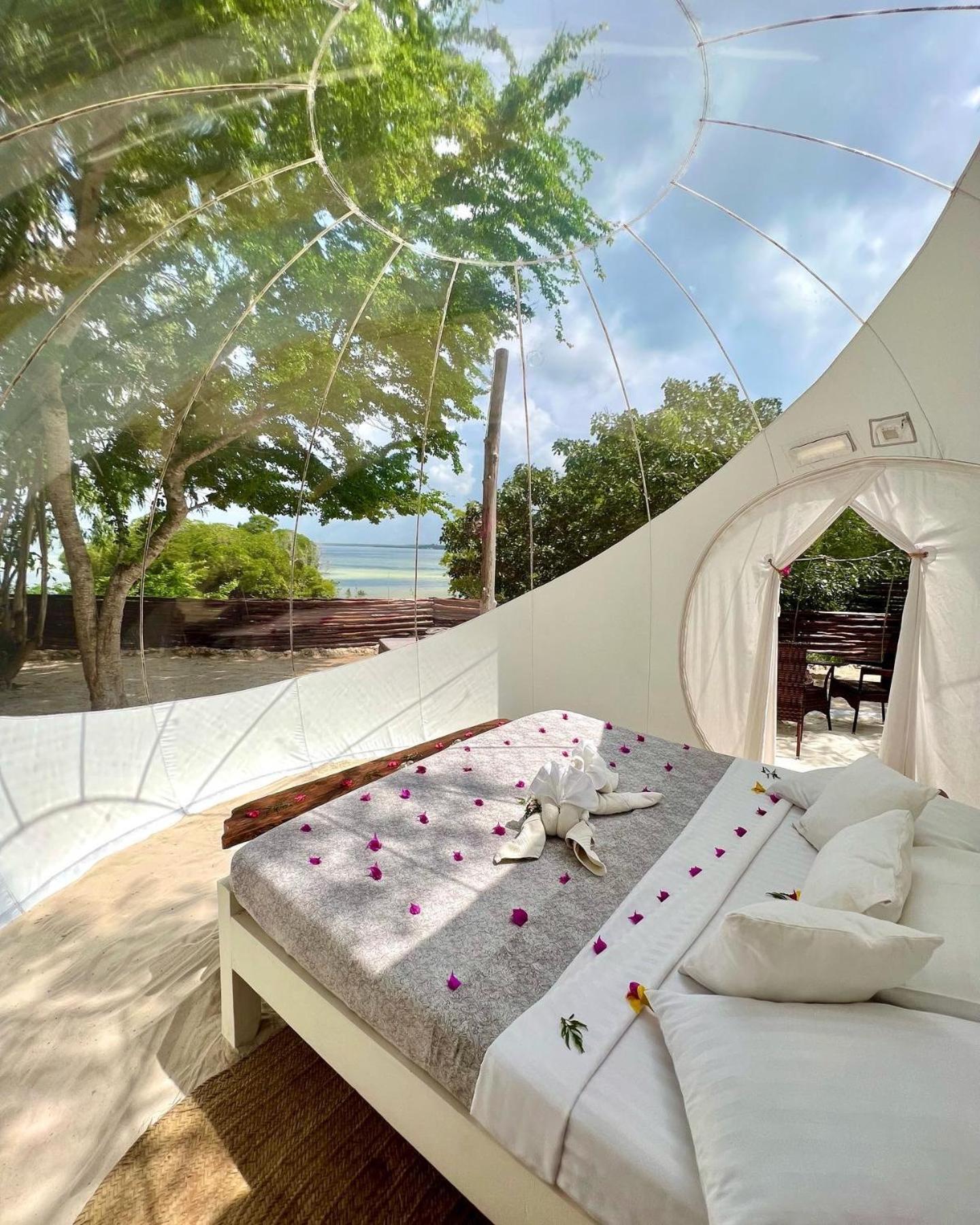 Panoramic Suite