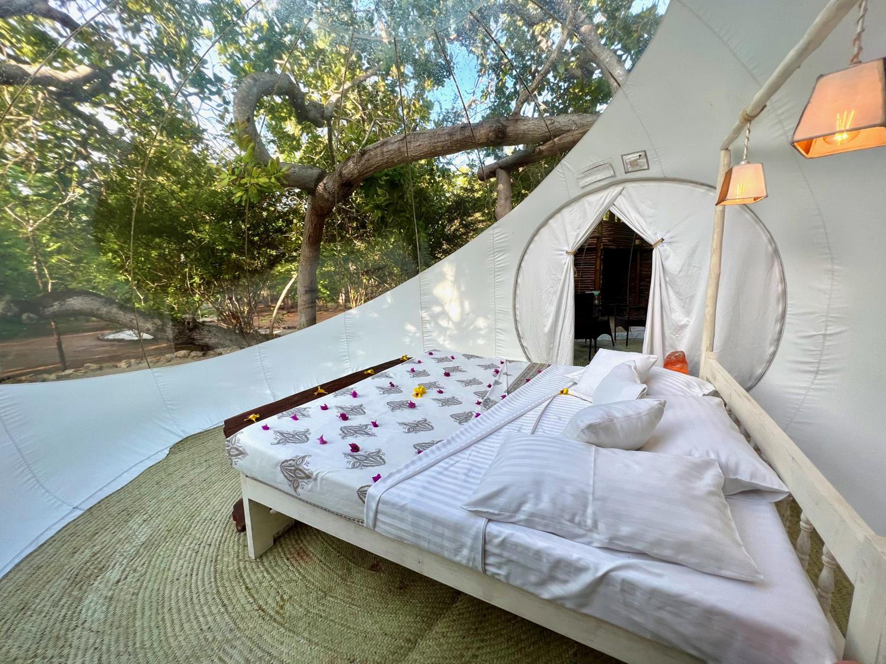 Tent photo 2