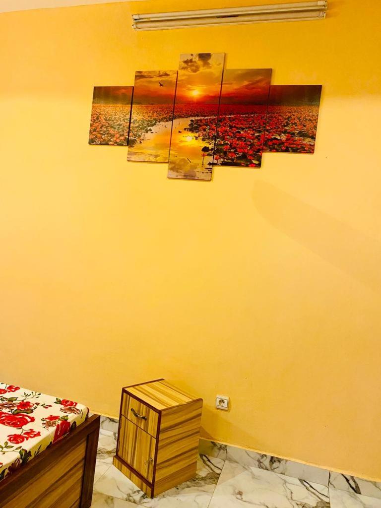 One-Bedroom Apartment photo 3