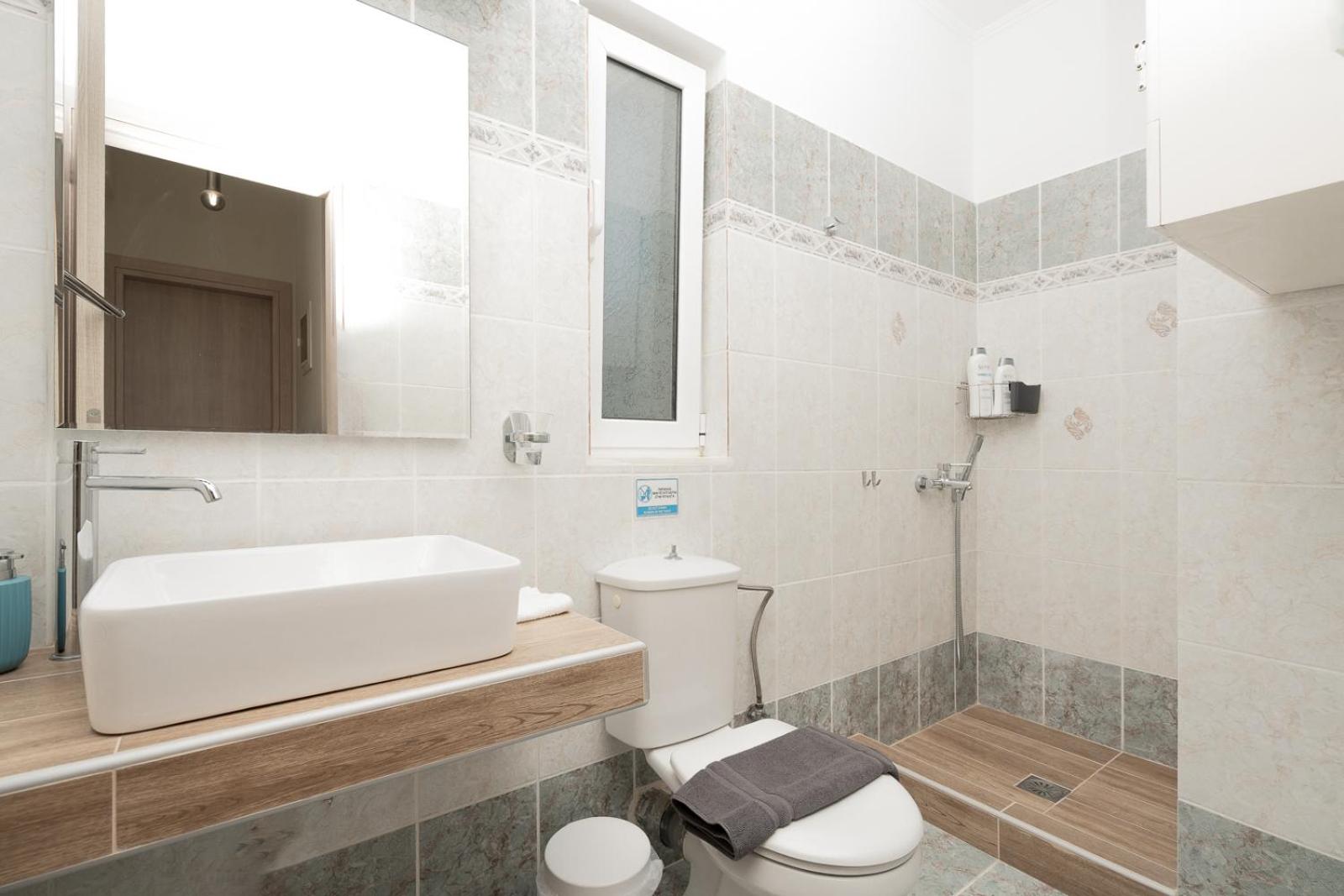 Apartment with Terrace photo 2