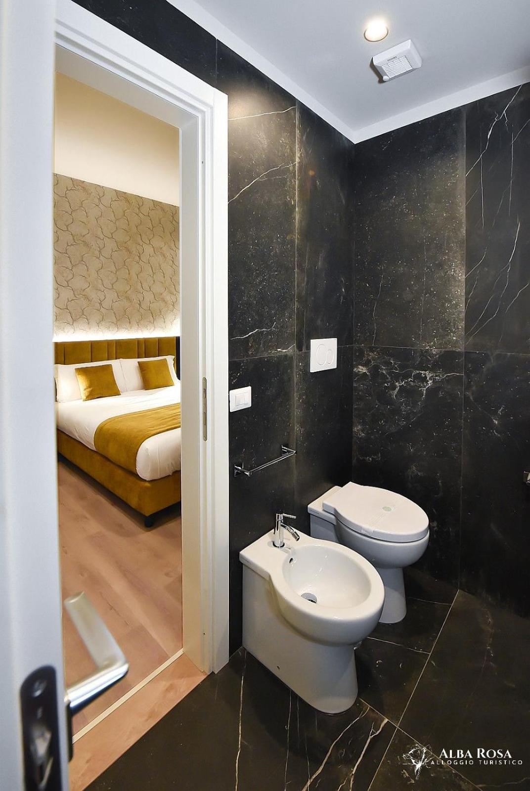 Deluxe Double or Twin Room photo 3