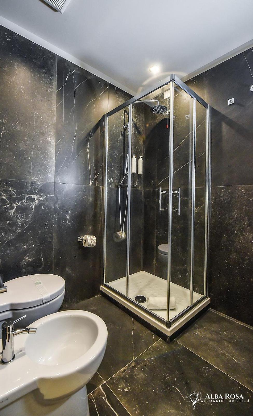 Deluxe Double or Twin Room photo 3
