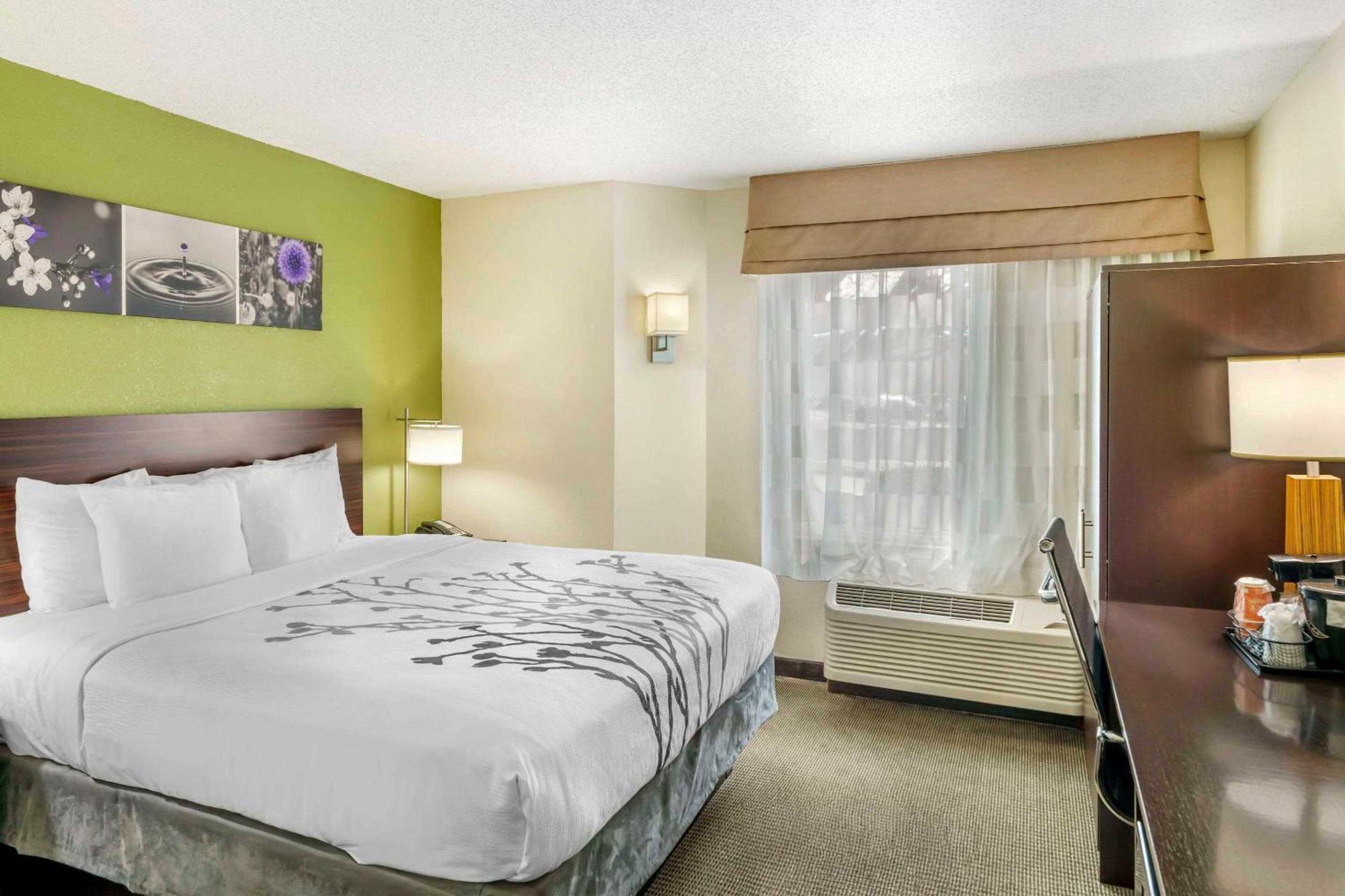 King Room - Non-Smoking - Photo 1