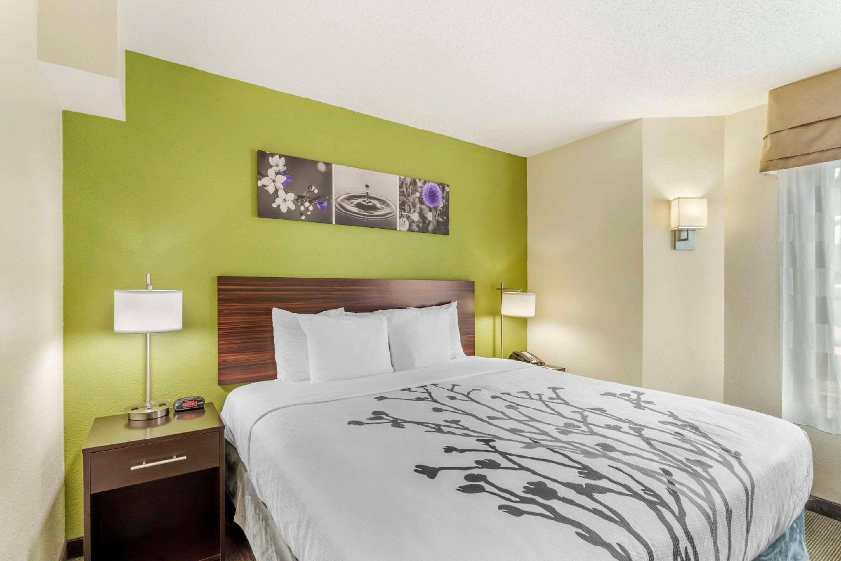 King Room - Non-Smoking - Photo 4