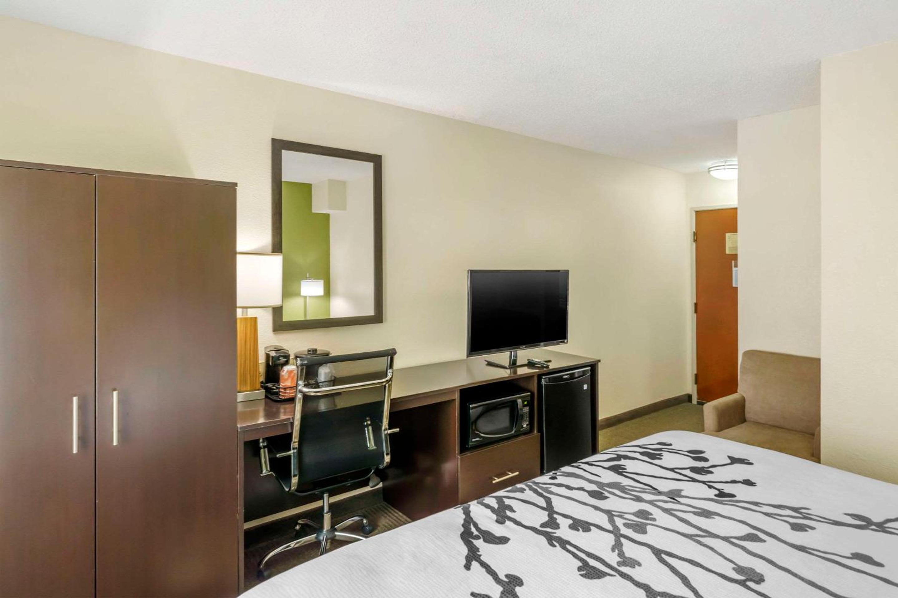 King Room - Non-Smoking - Photo 5