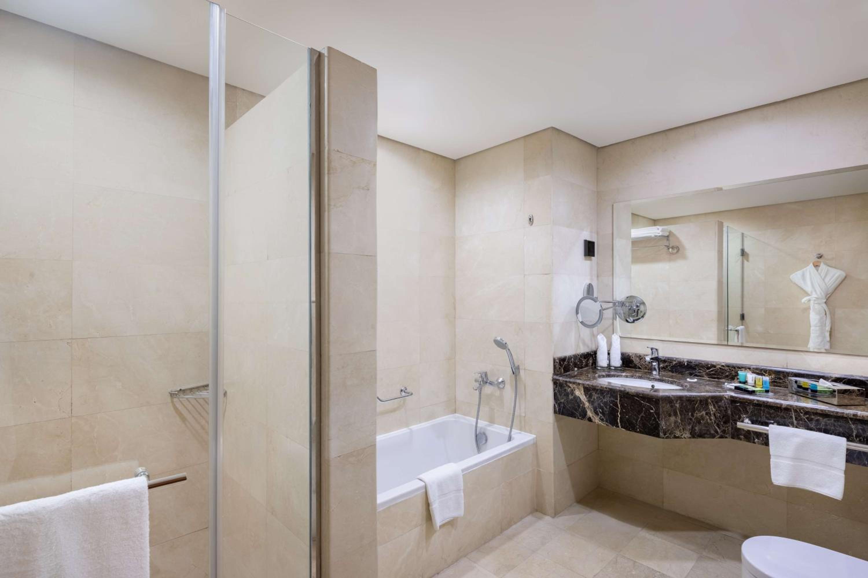 One-Bedroom King Suite with City View - Photo 4