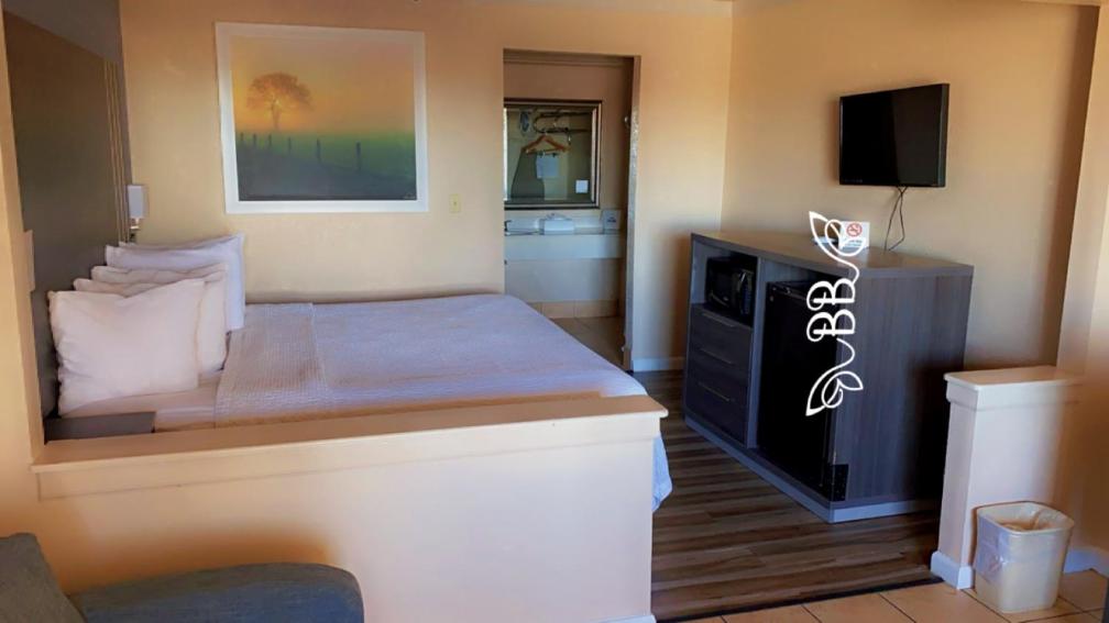 King Studio Suite - Non-Smoking - Photo 1