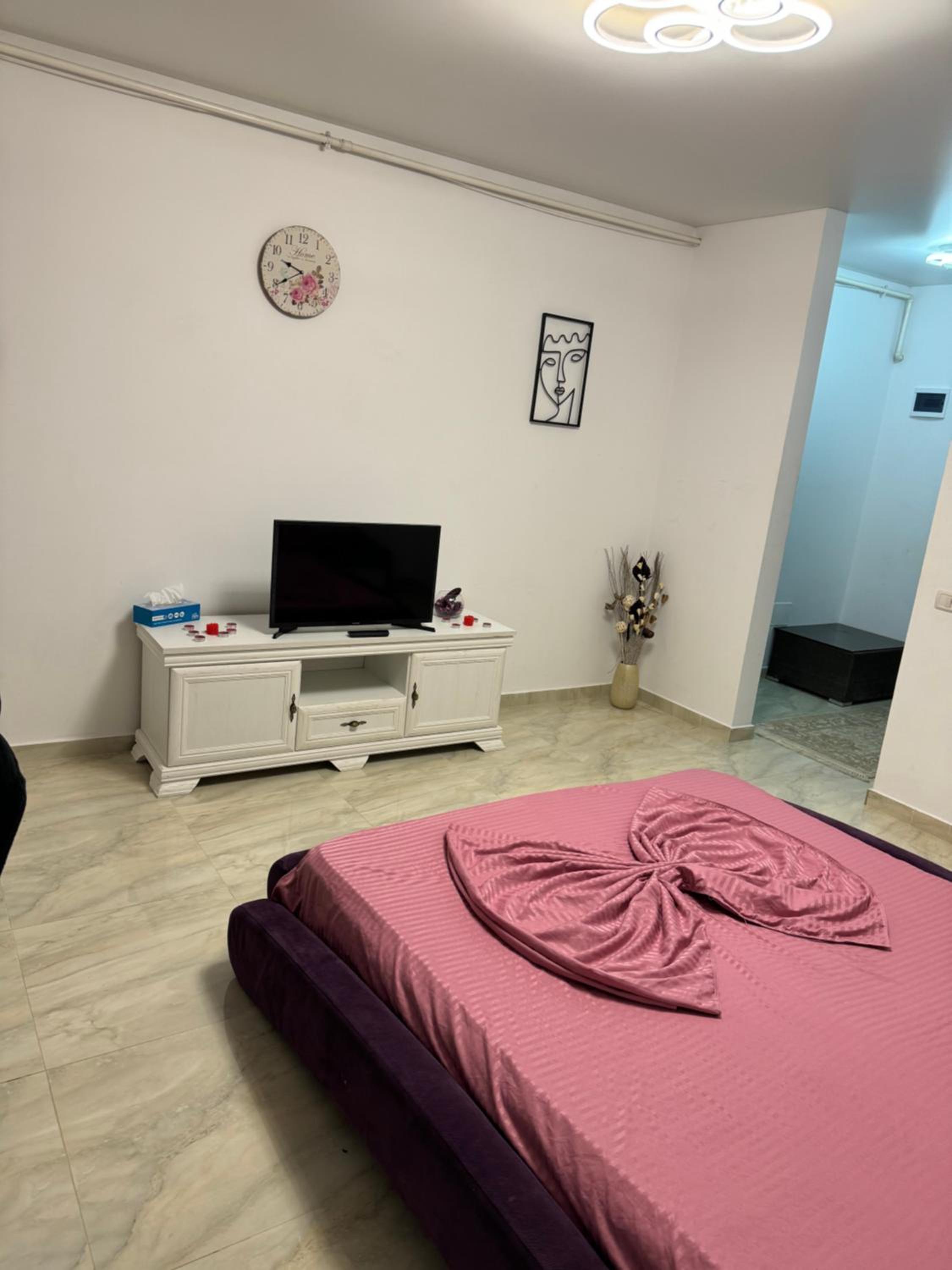 One-Bedroom Apartment photo 2