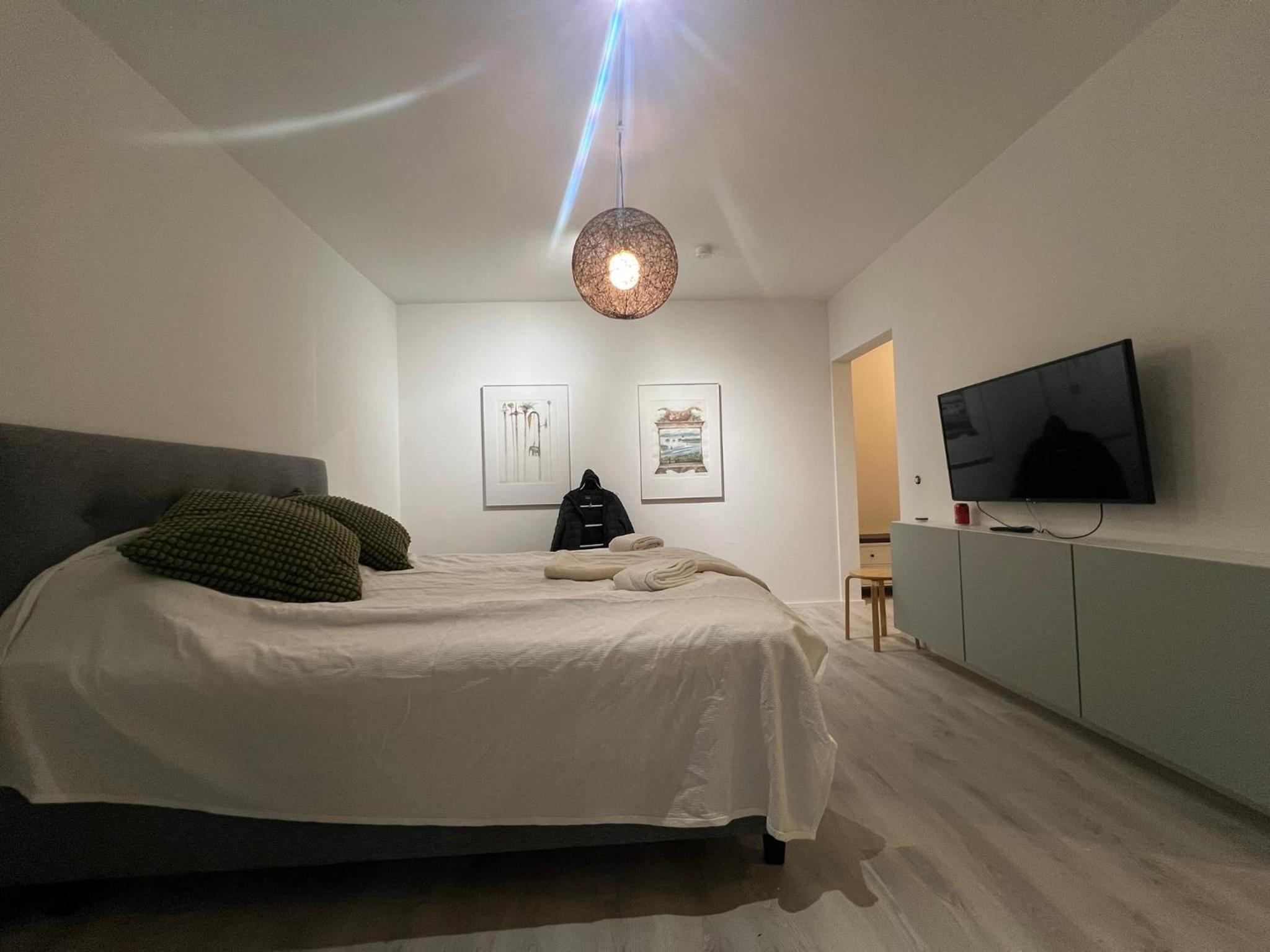 One-Bedroom Apartment - Photo 10
